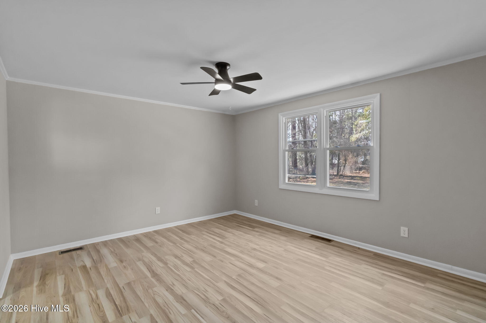 100557666 | Photo 13