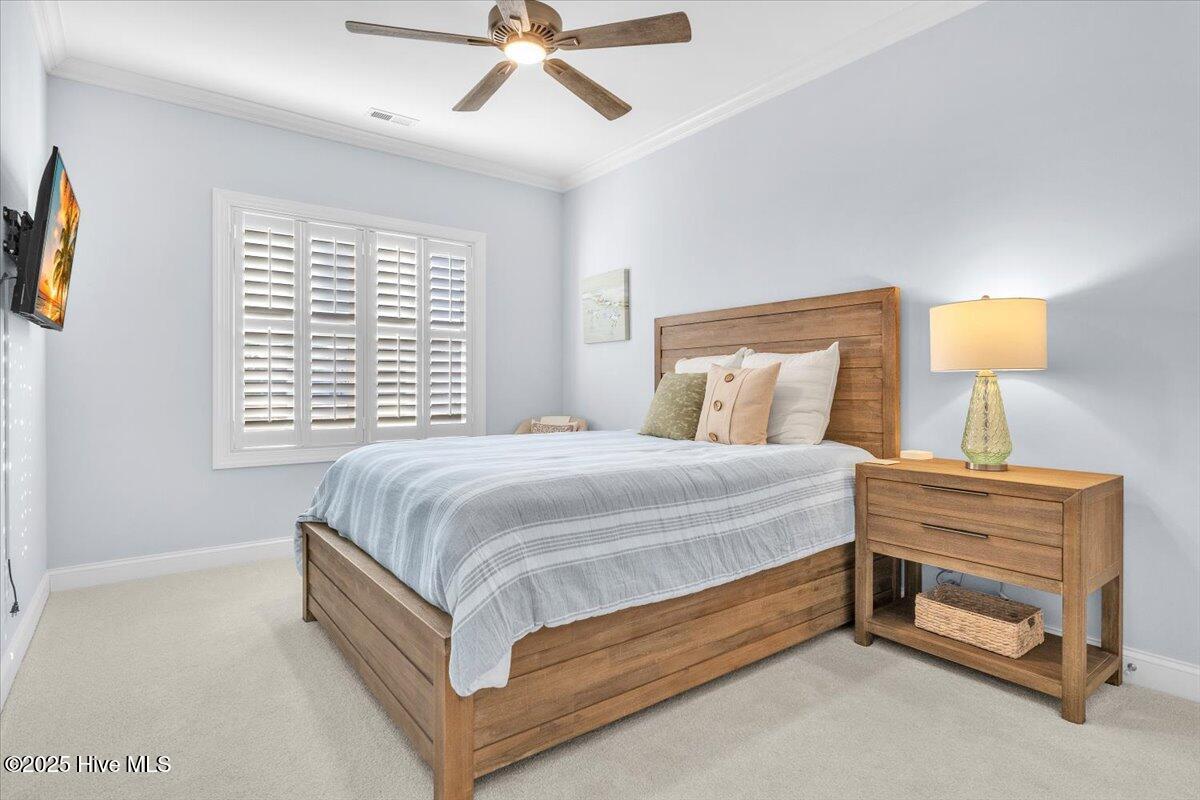 100545391 | Photo 24