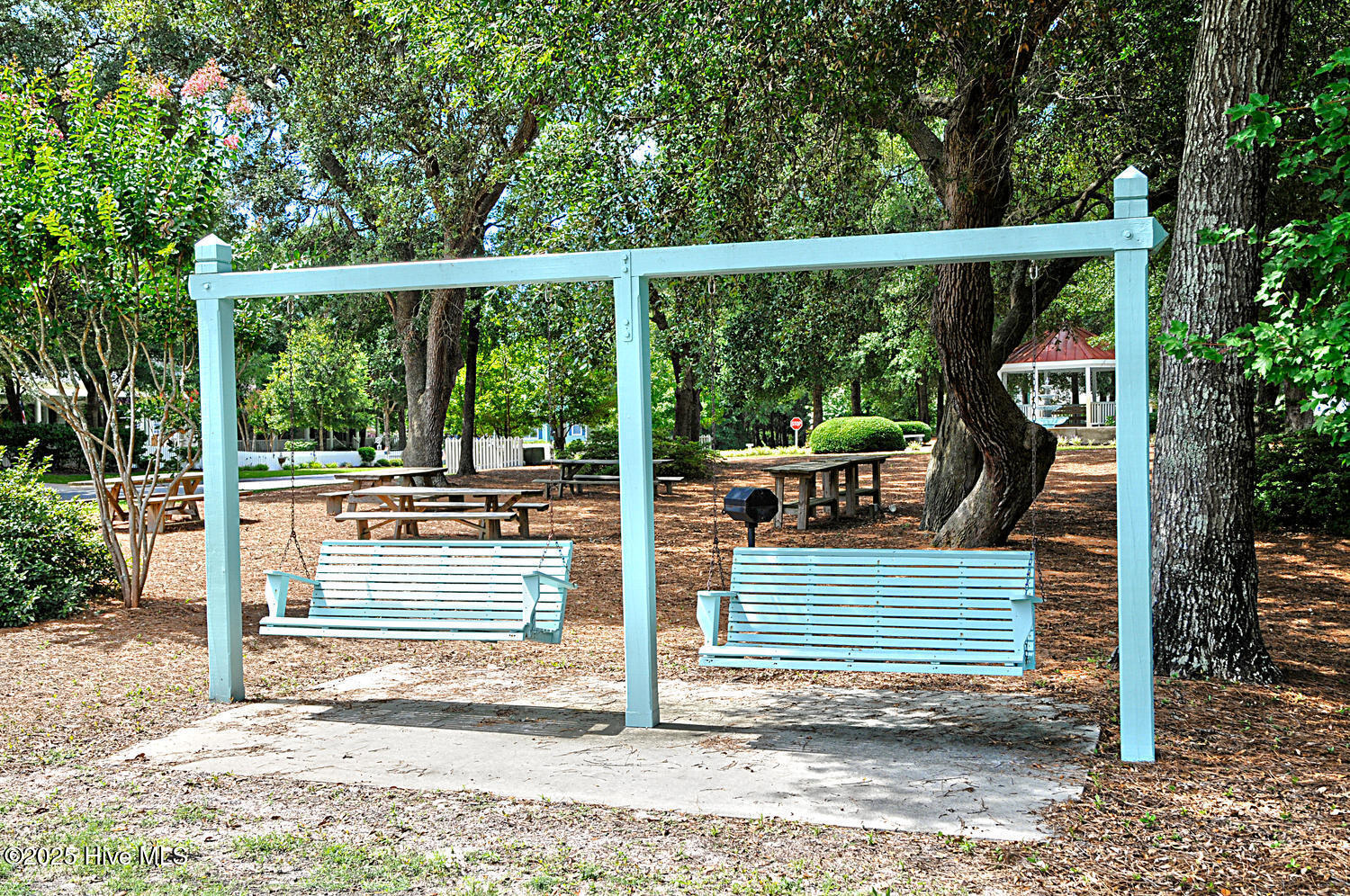 100516438 | Photo 54