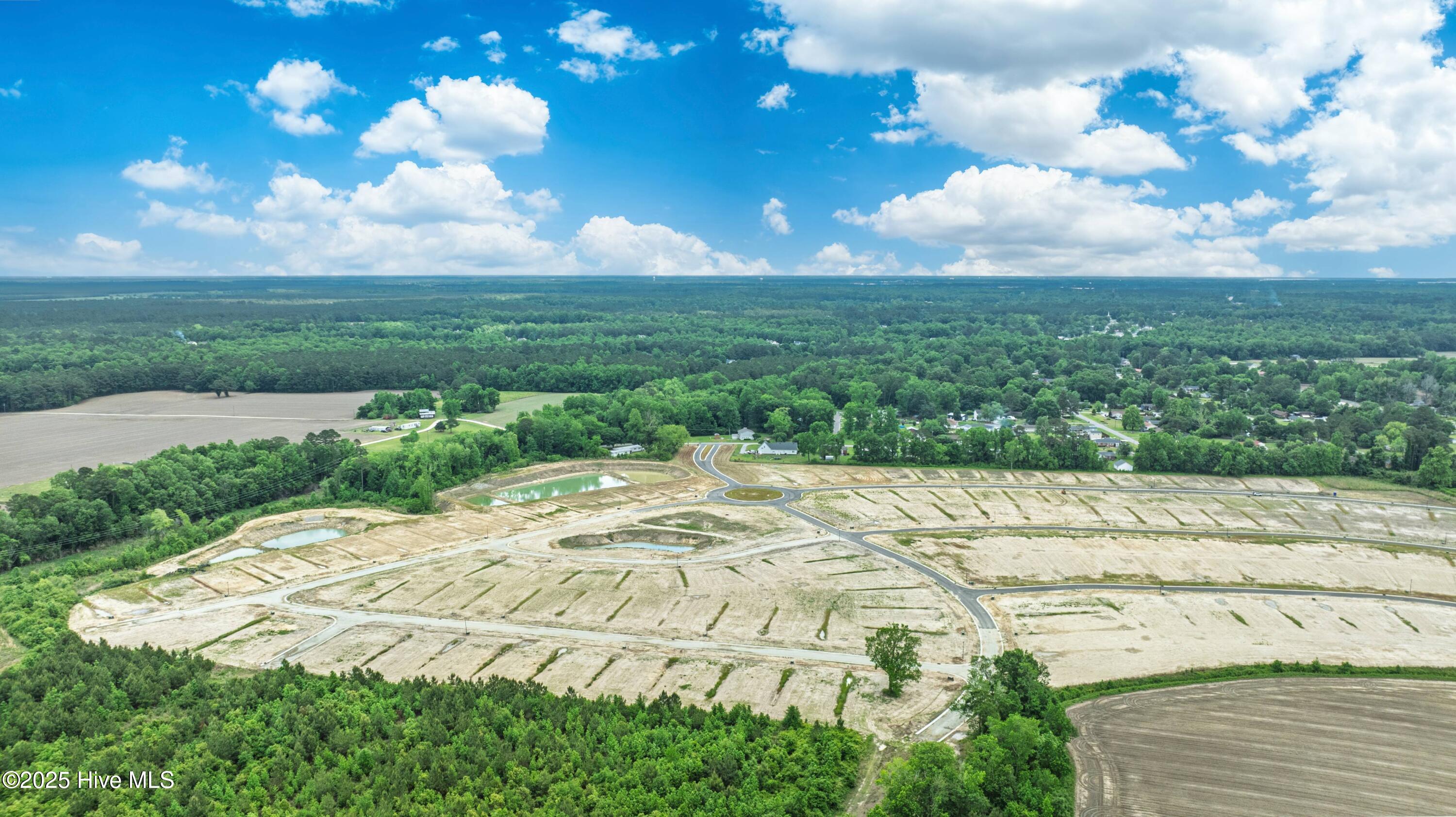 100528185 | Photo 38