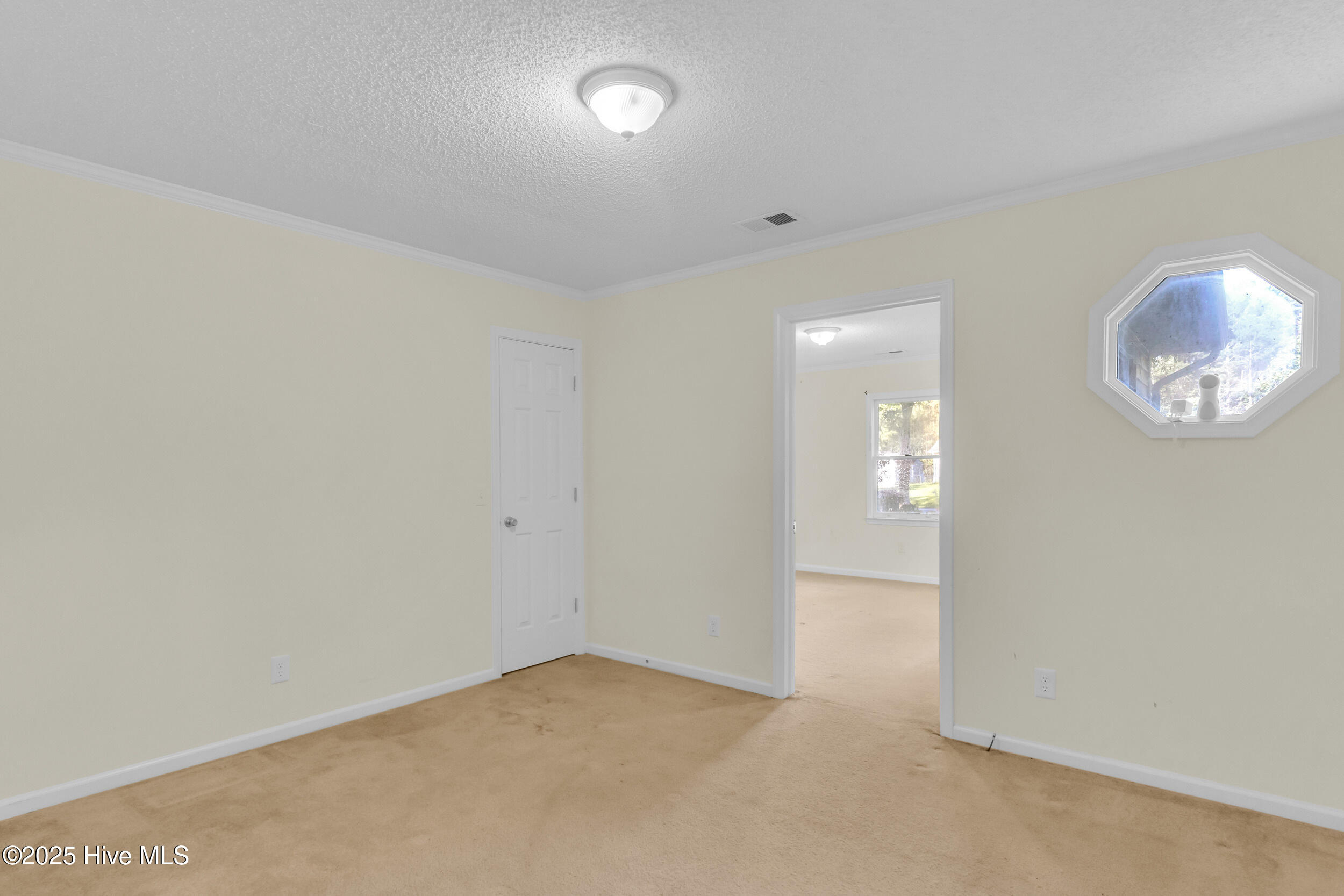 100537438 | Photo 15