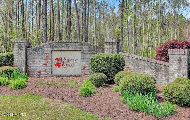 100559469 | Photo 20