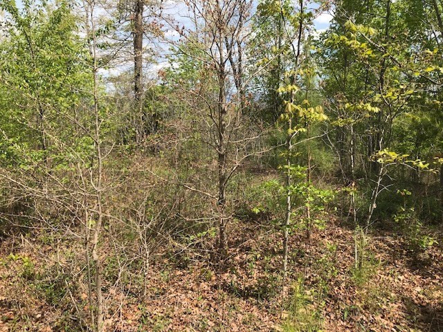 Exterior photo of Lot 29 Brasstown View Road, Murphy, NC 28906. MLS: 98543677