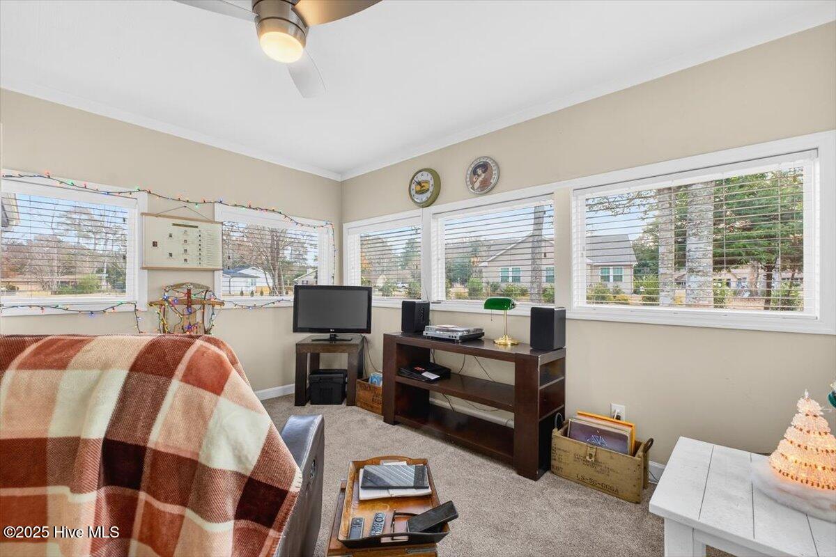 100545415 | Photo 33