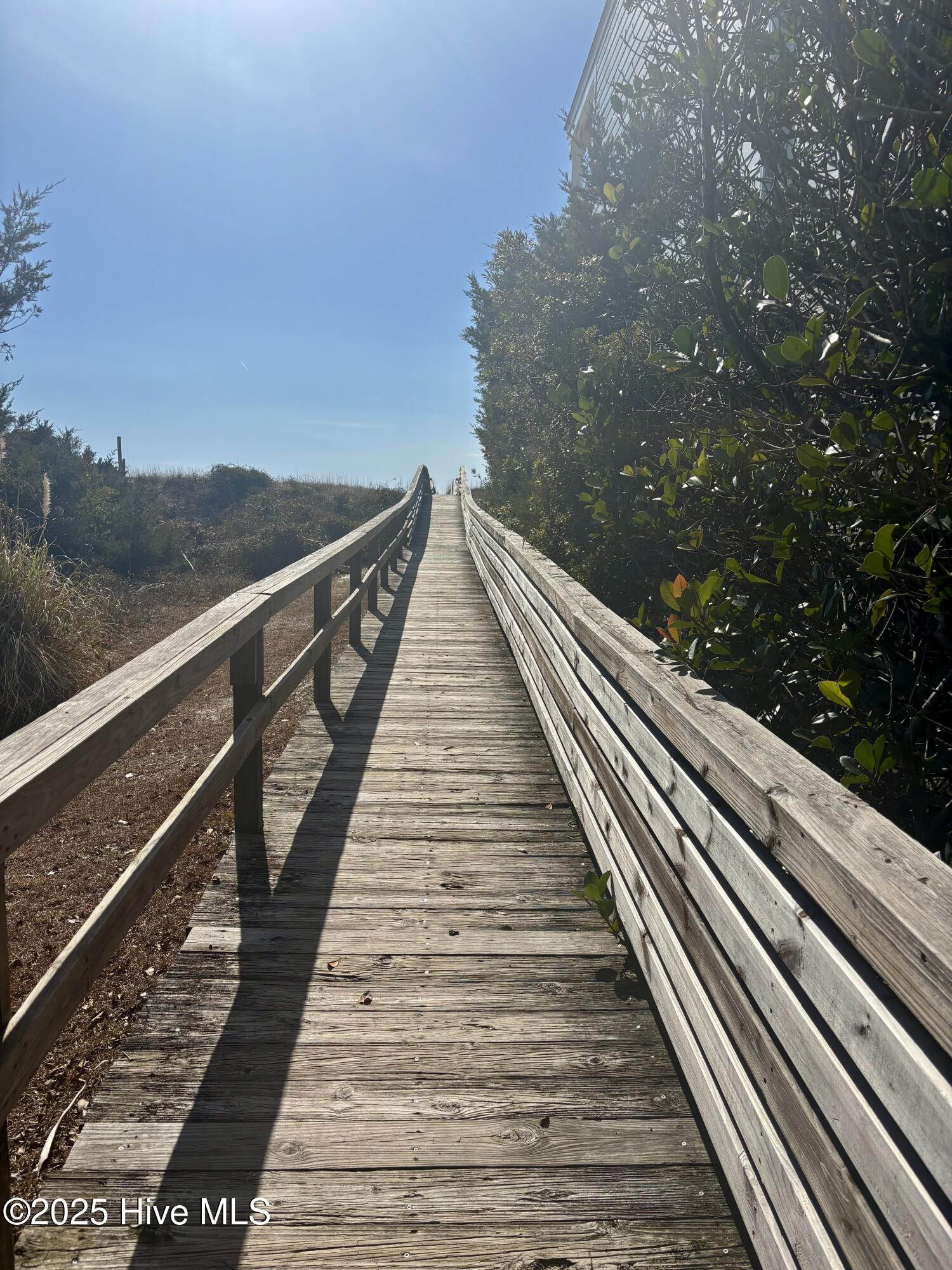 100558310 | Photo 10