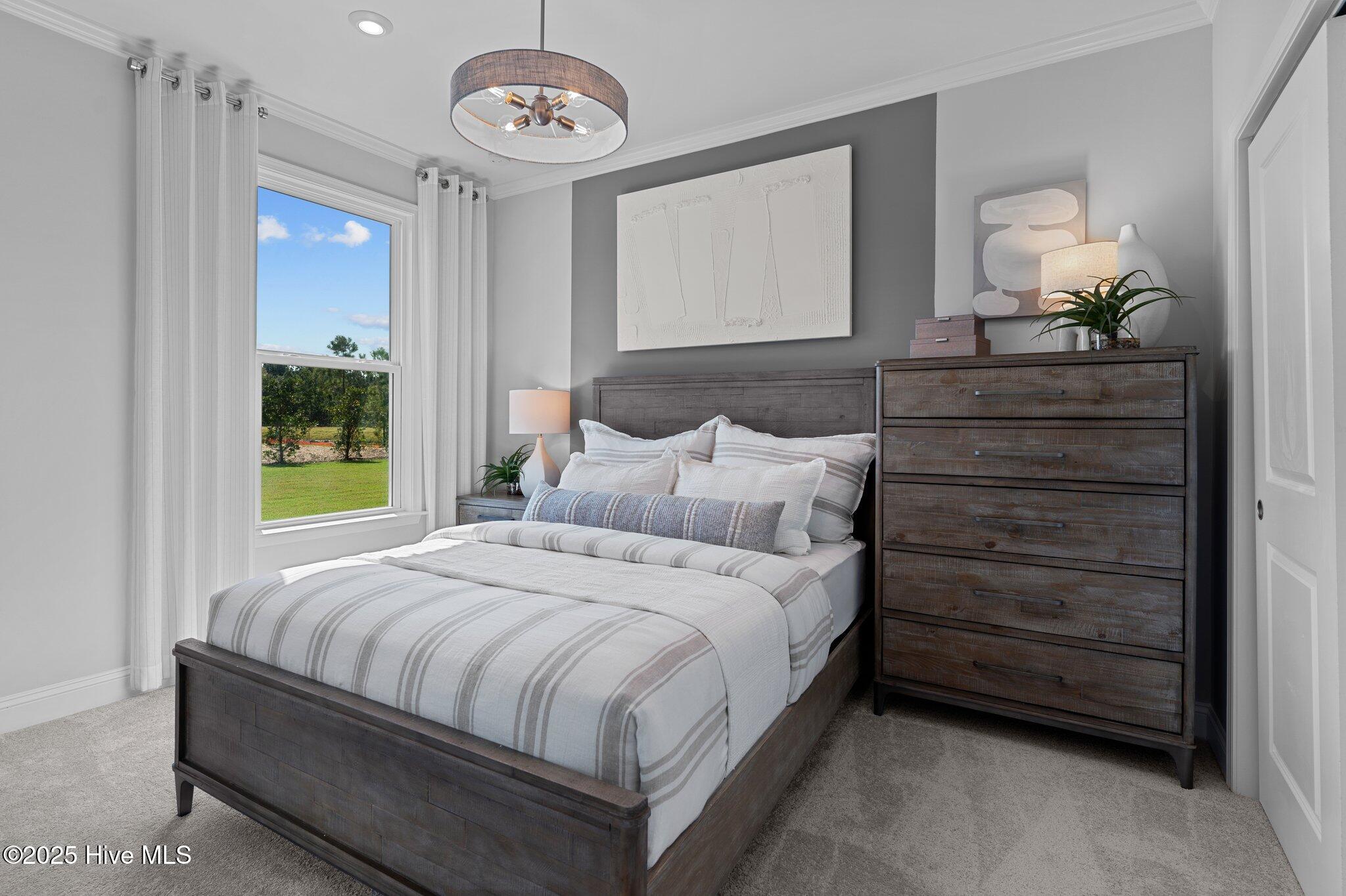 100543725 | Photo 16