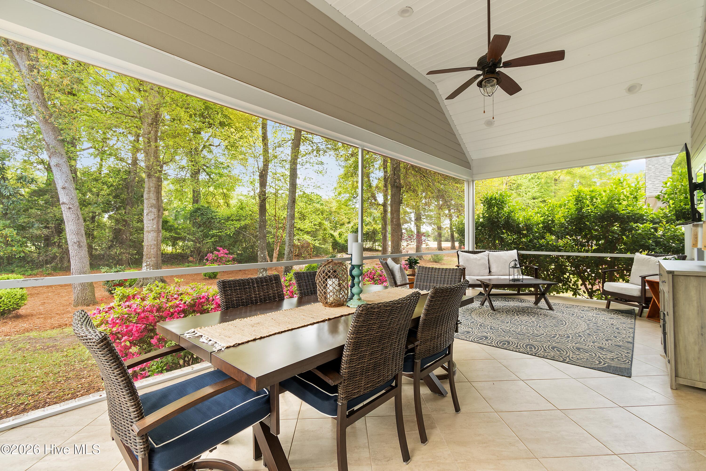 100565384 | Photo 42