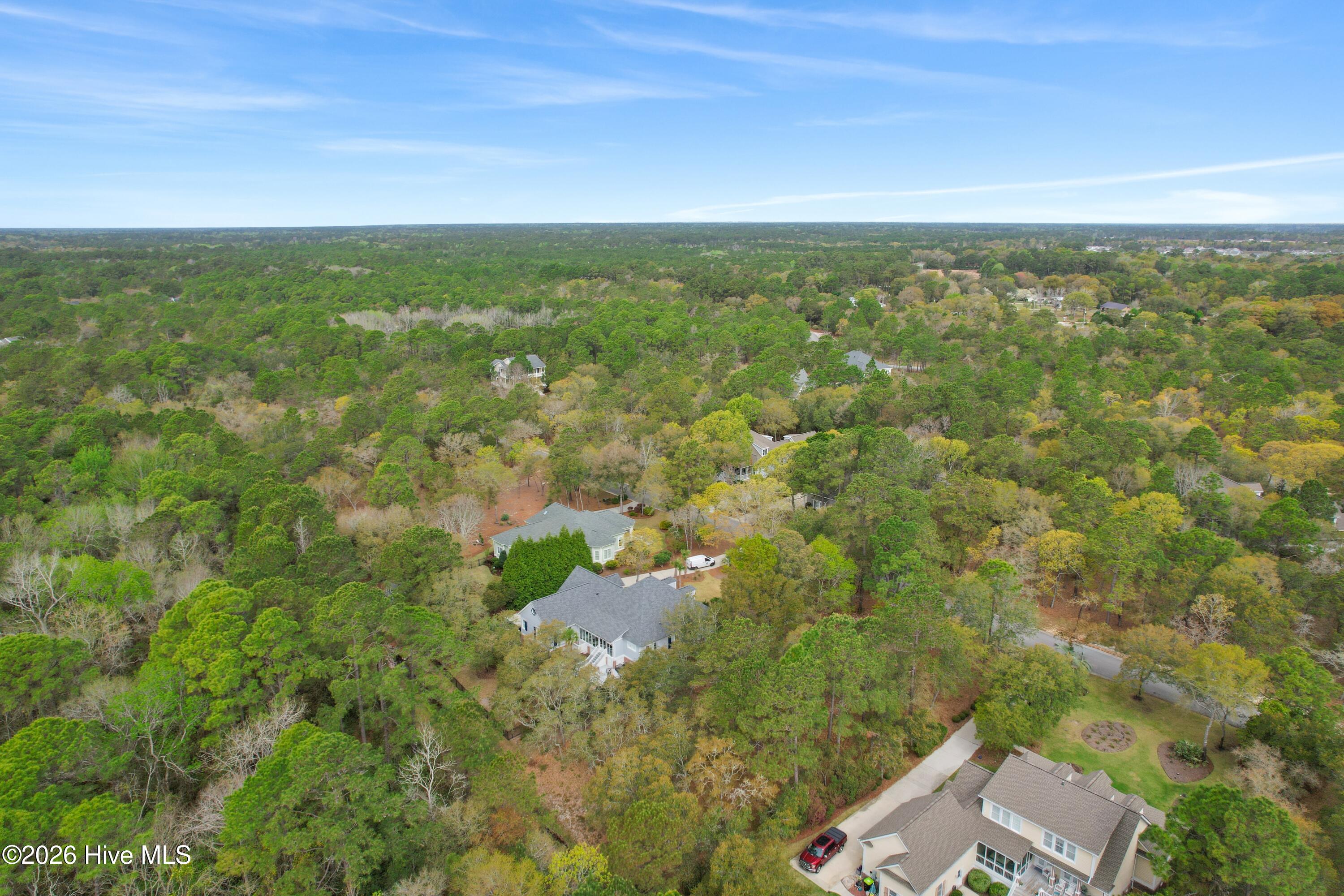 100565243 | Photo 12