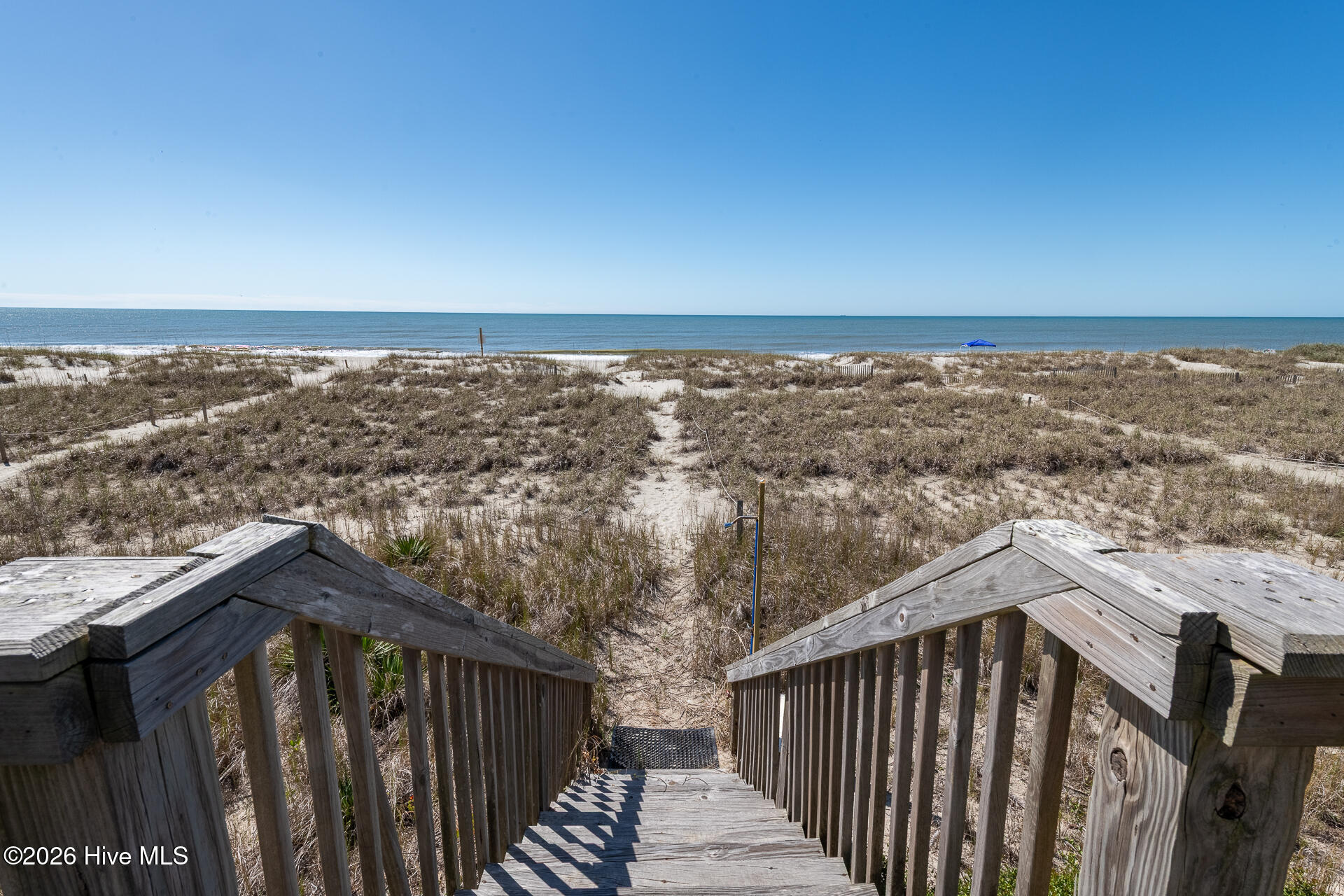 100568096 | Photo 11