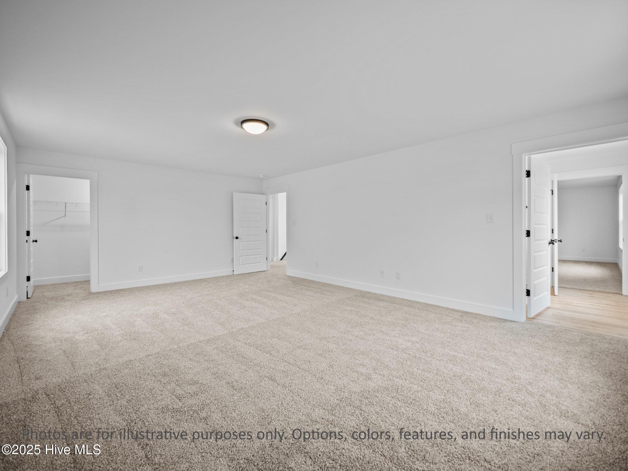 100536099 | Photo 37