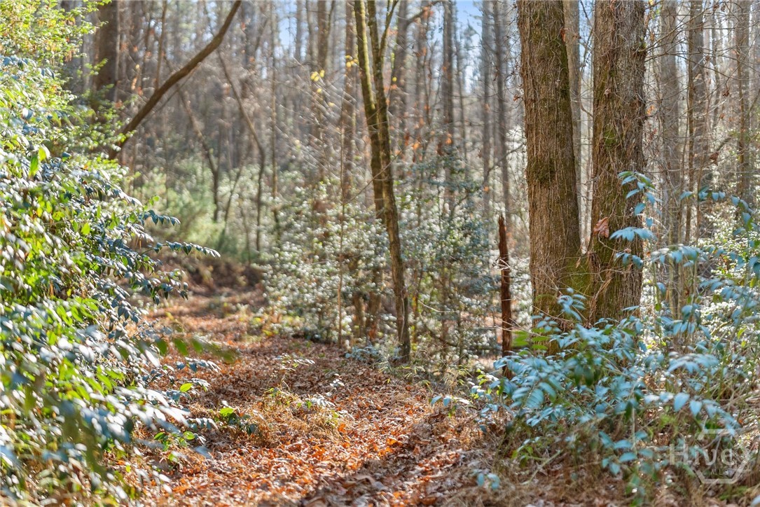 Shoal Creek Tract Habersham County