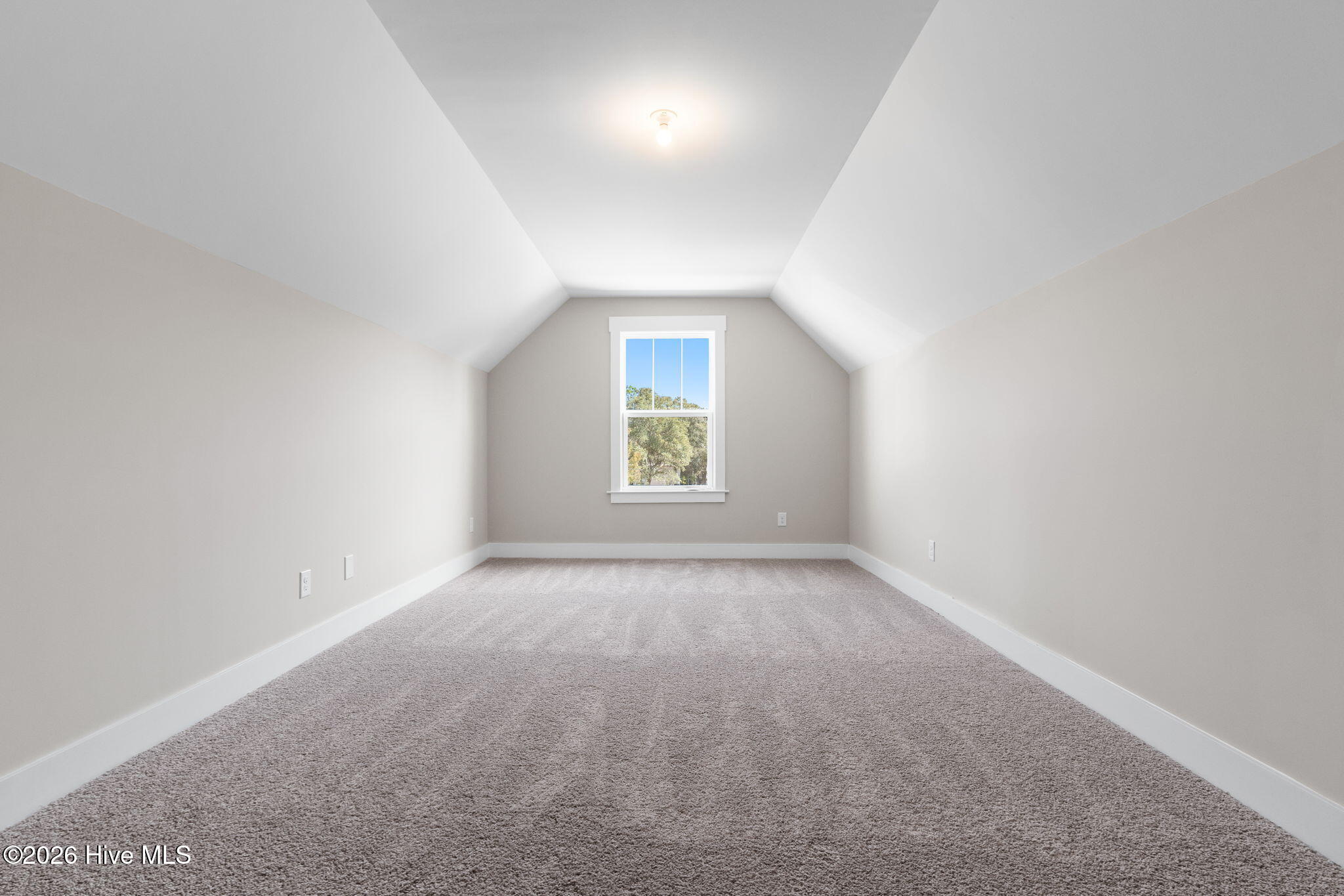 100537581 | Photo 57