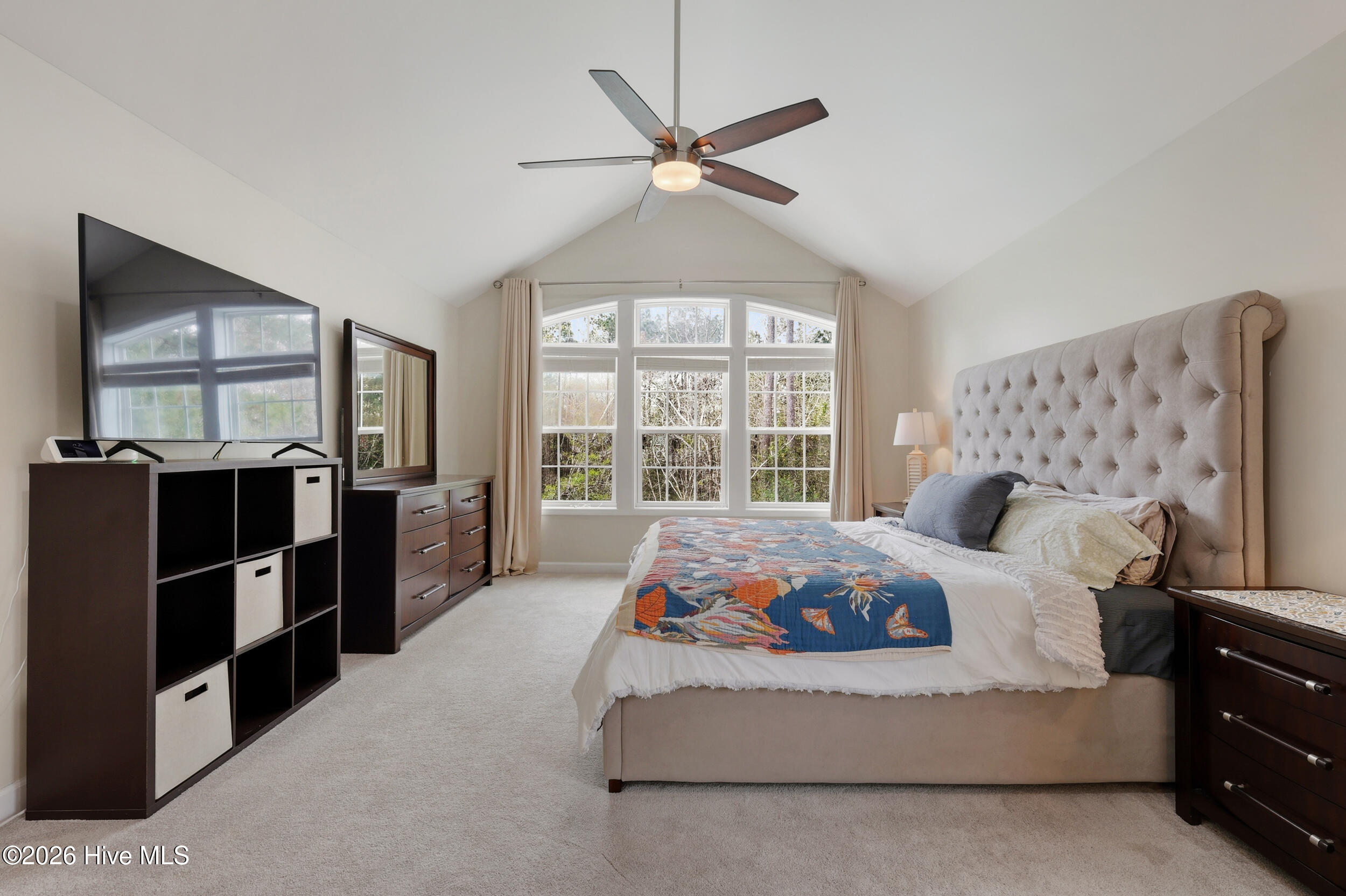 100562179 | Photo 30