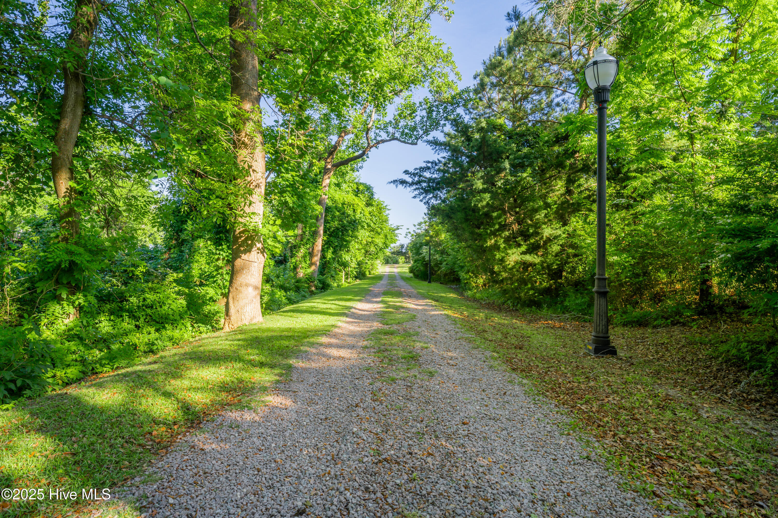 100506223 | Photo 51