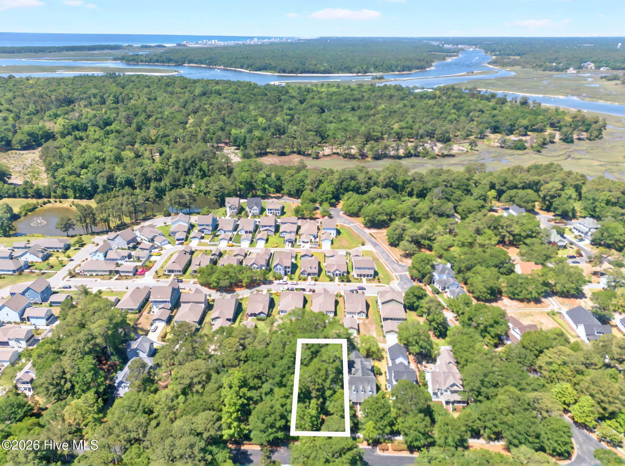 100558704 | Photo 20