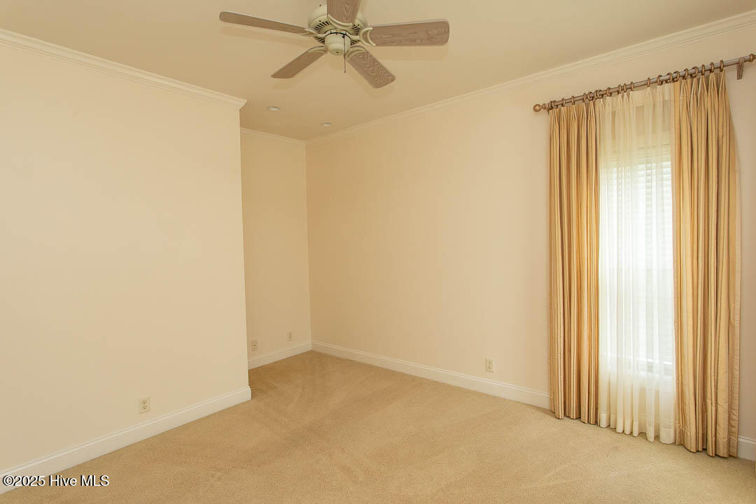 100526043 | Photo 37