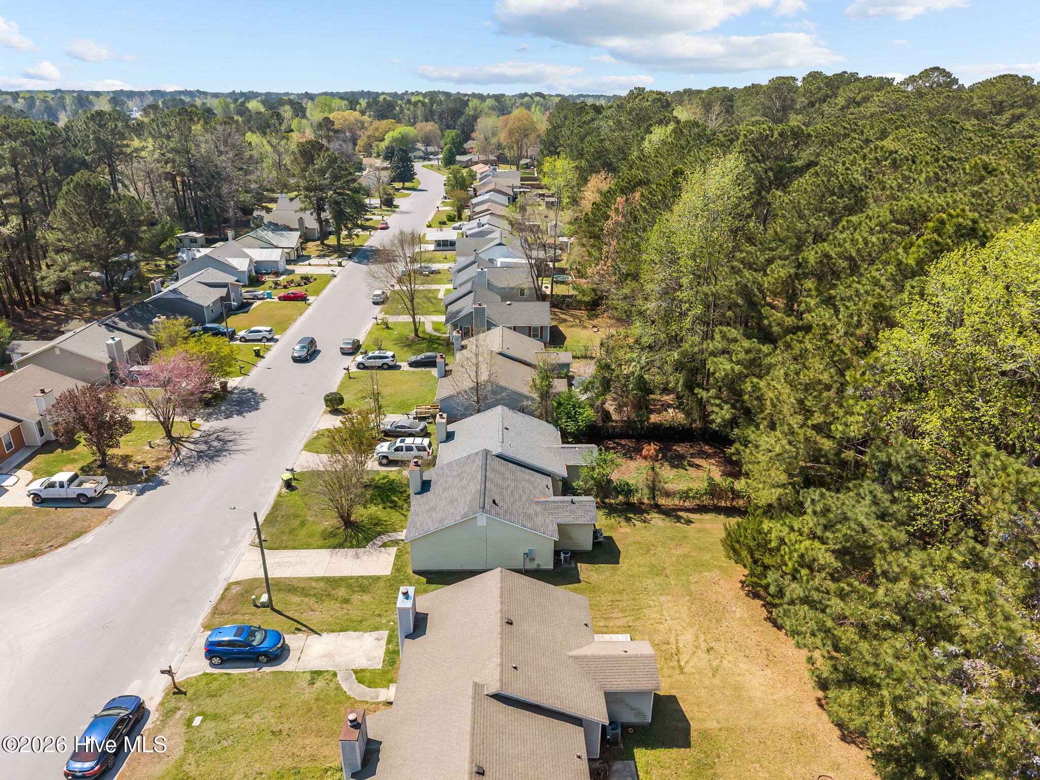 100563578 | Photo 38