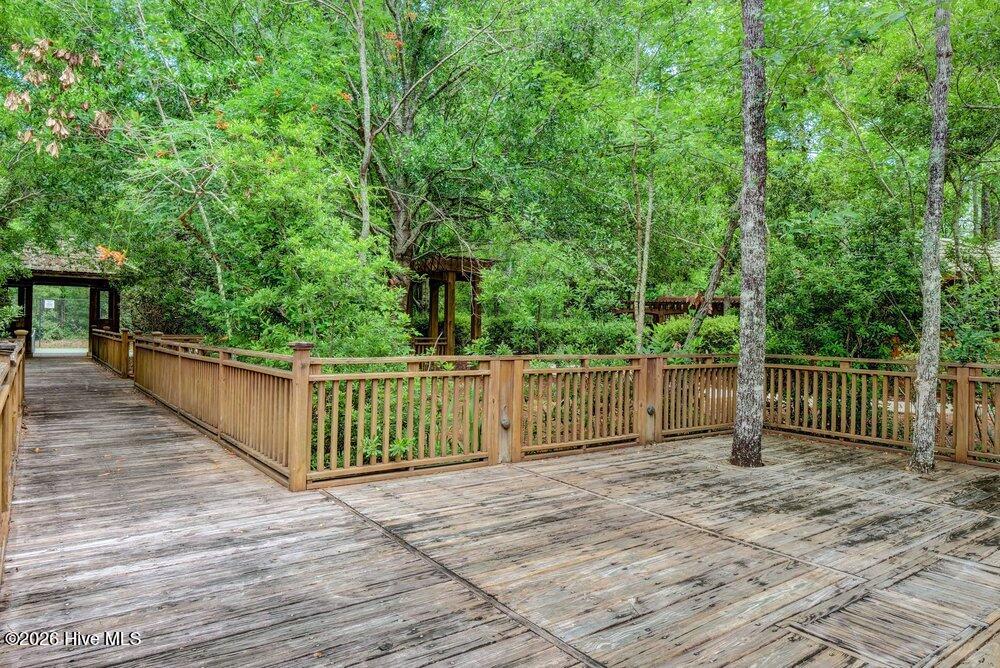 100563966 | Photo 80