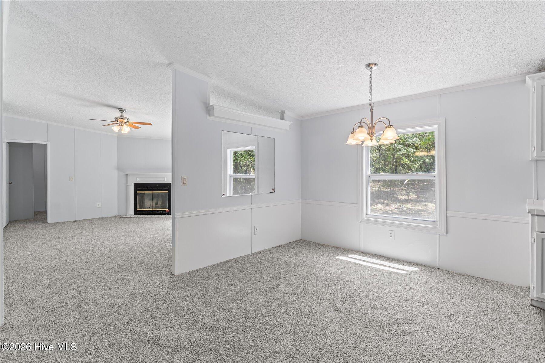 100567568 | Photo 14