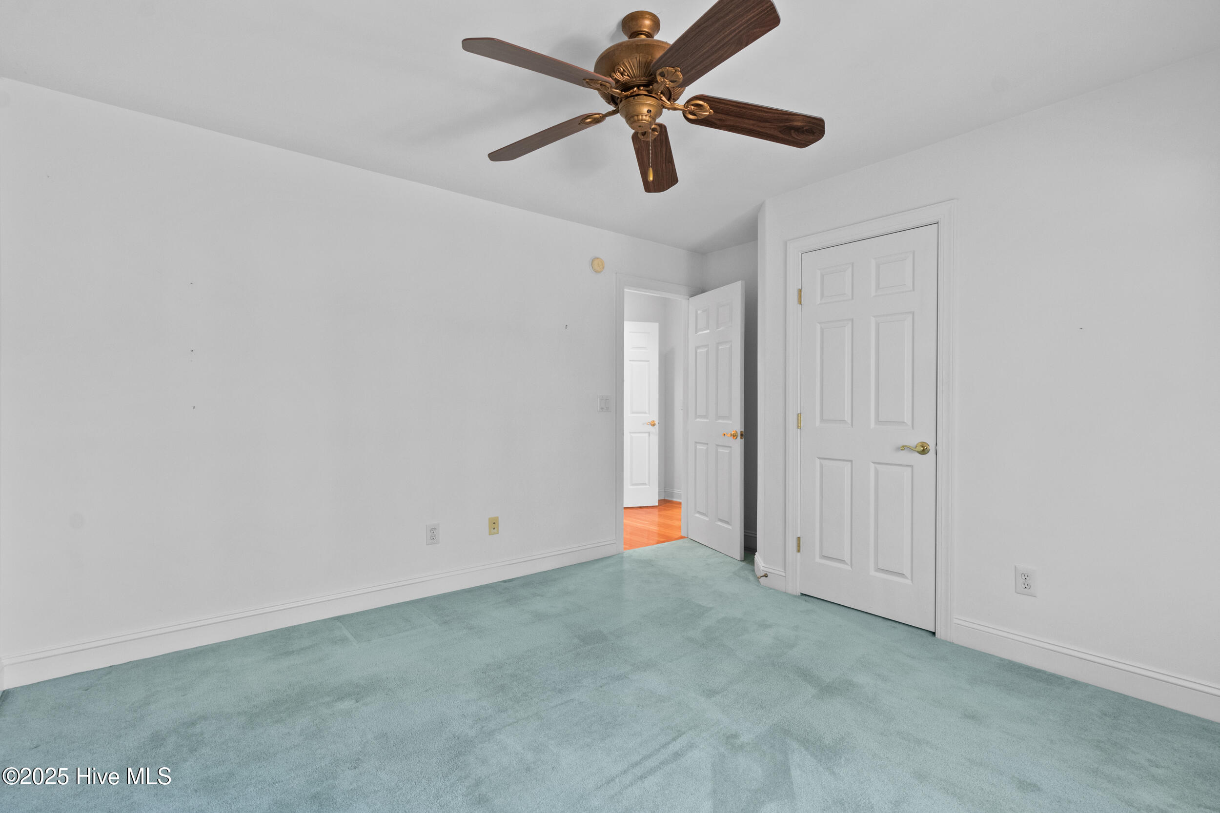 100539143 | Photo 14