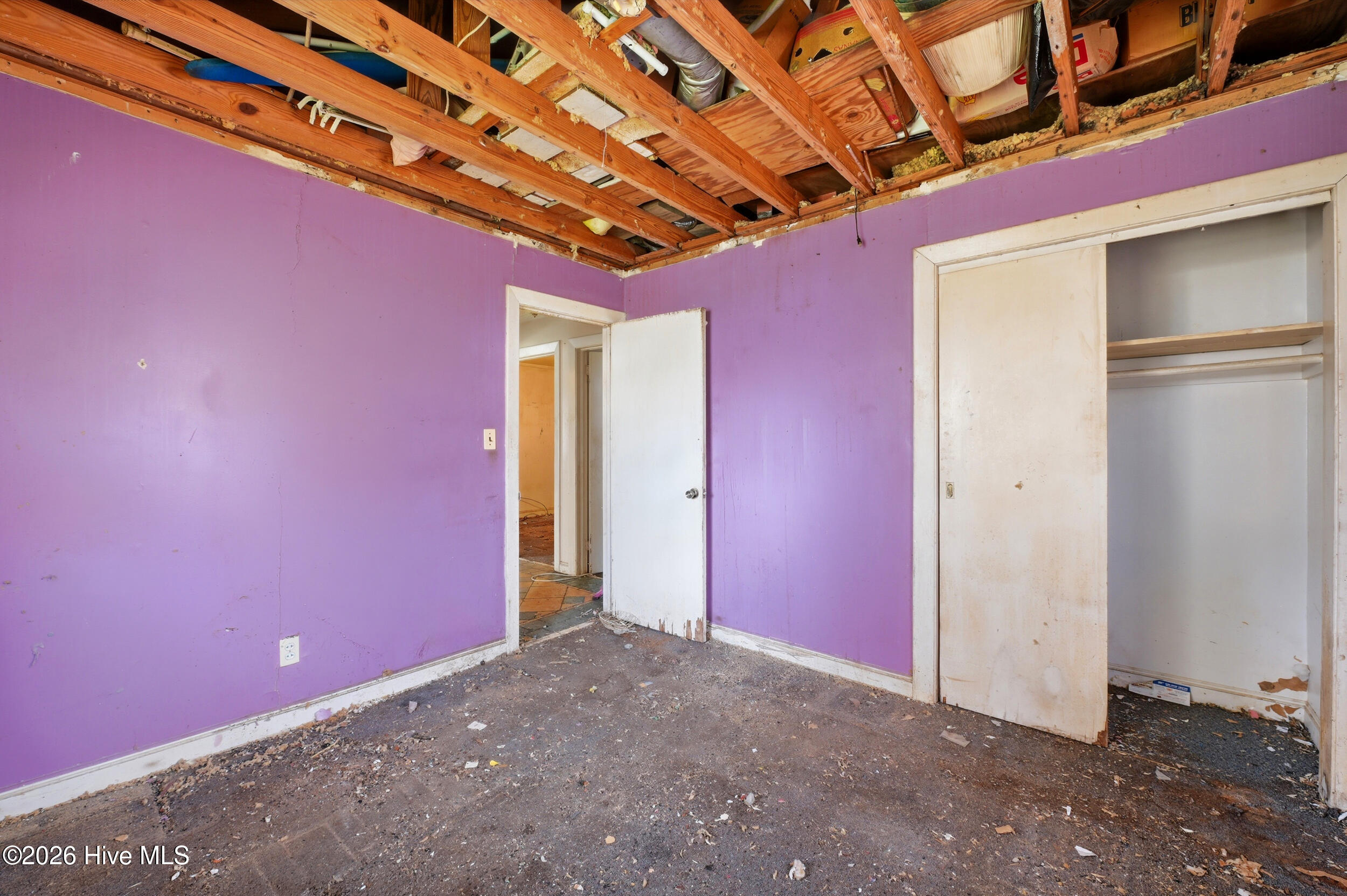 100561541 | Photo 12