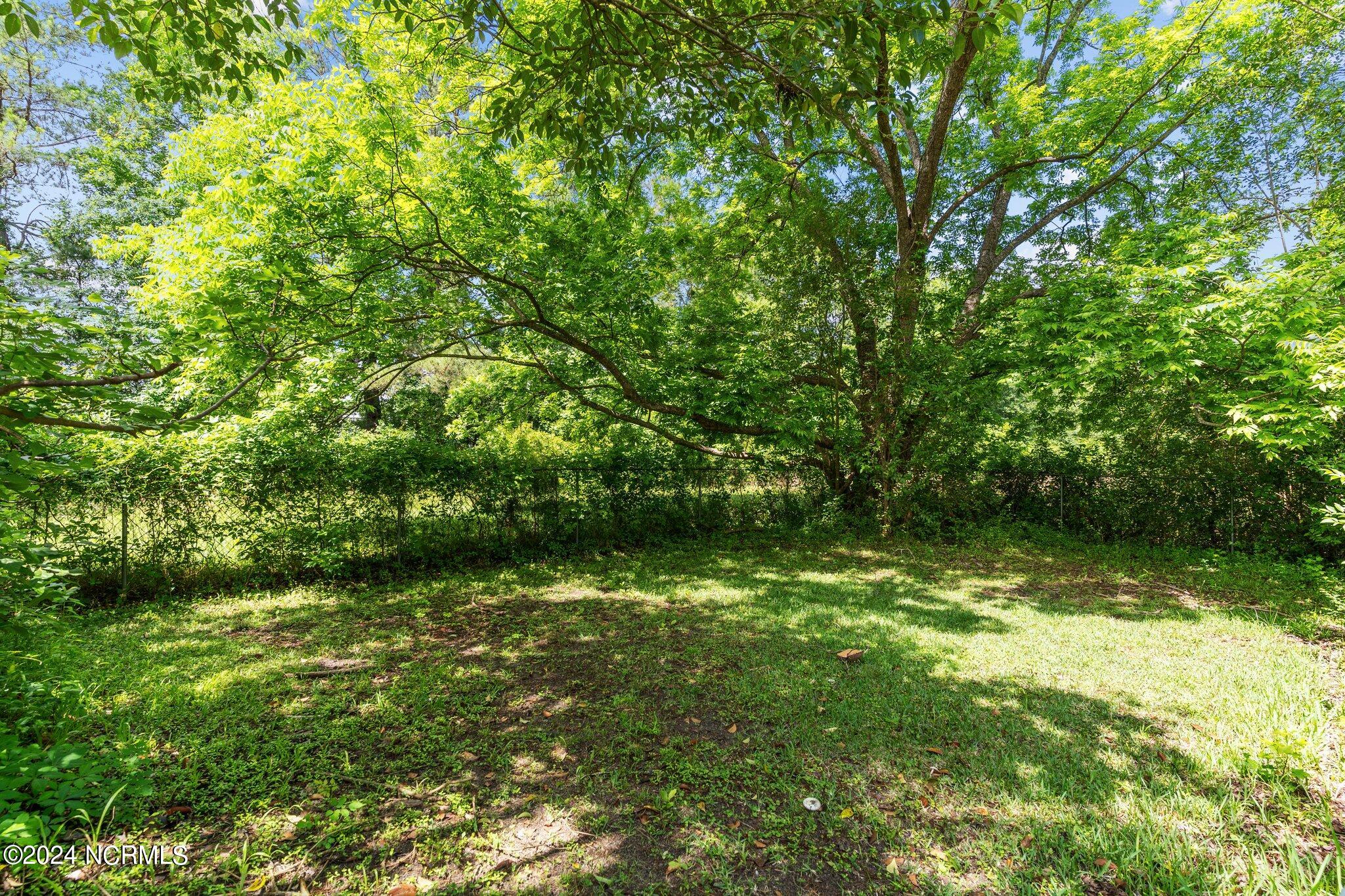 100517313 | Photo 46