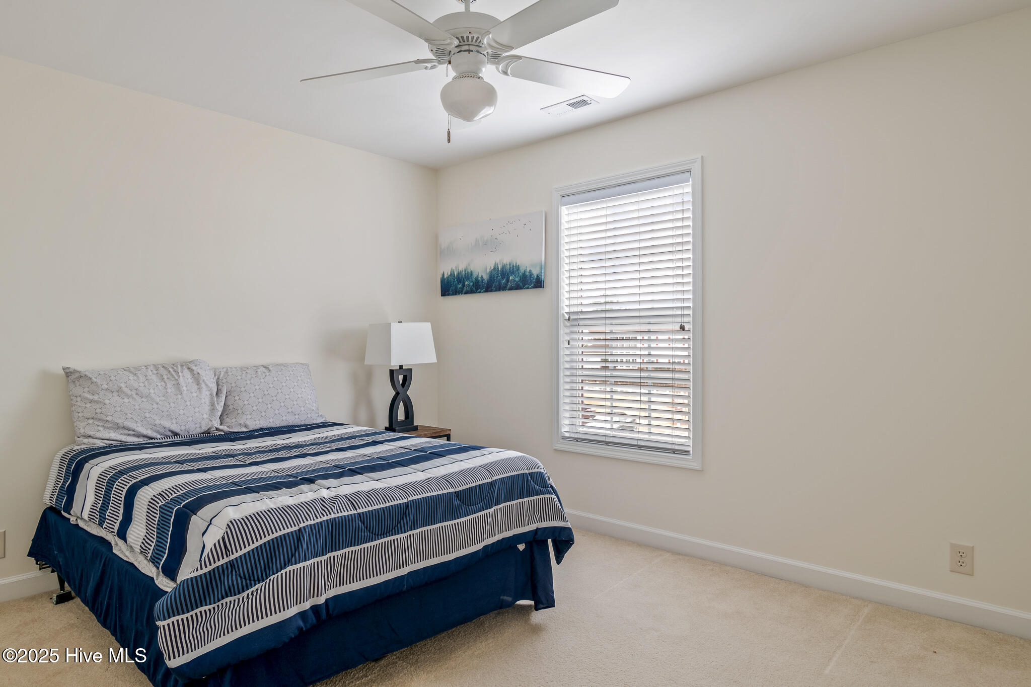 100565271 | Photo 19