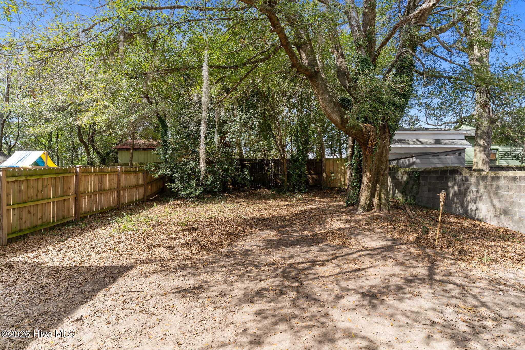 100556827 | Photo 34