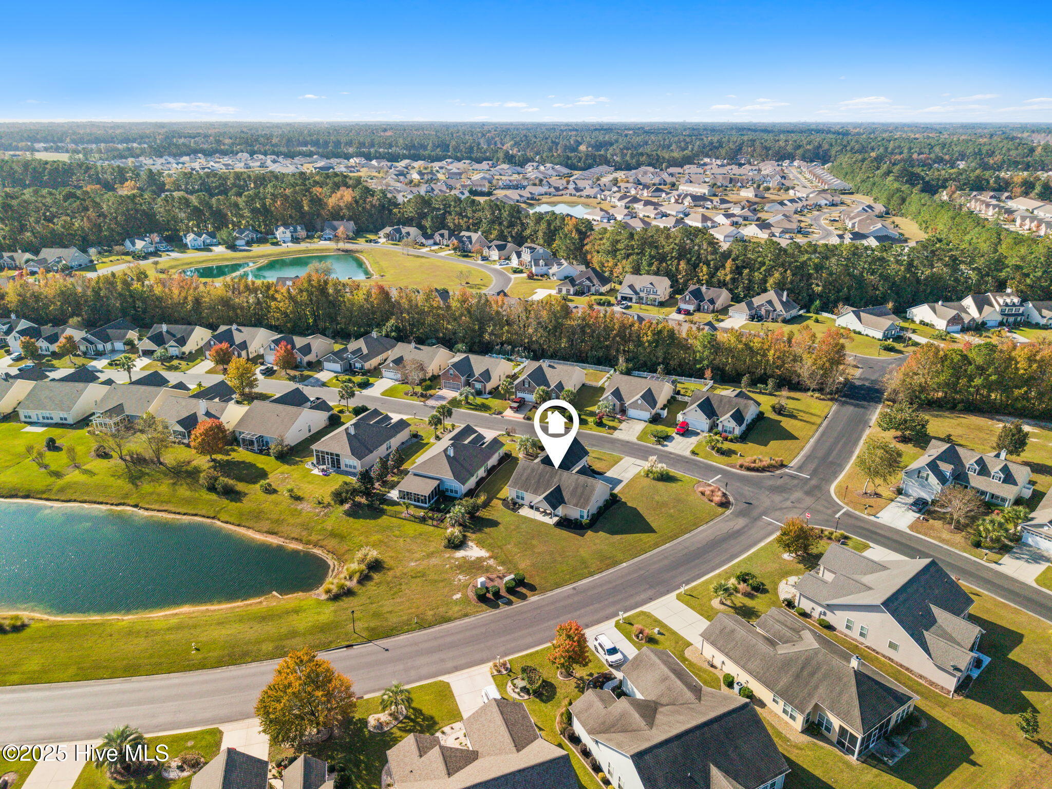 100540486 | Photo 45