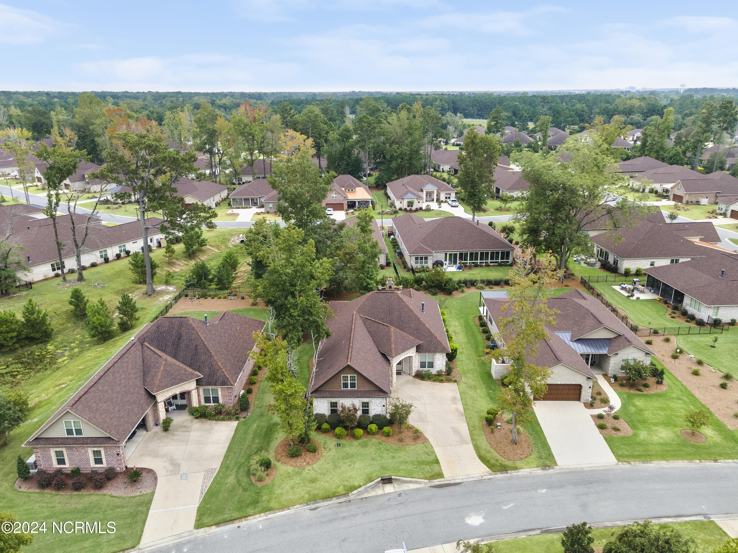 100554009 | Photo 42