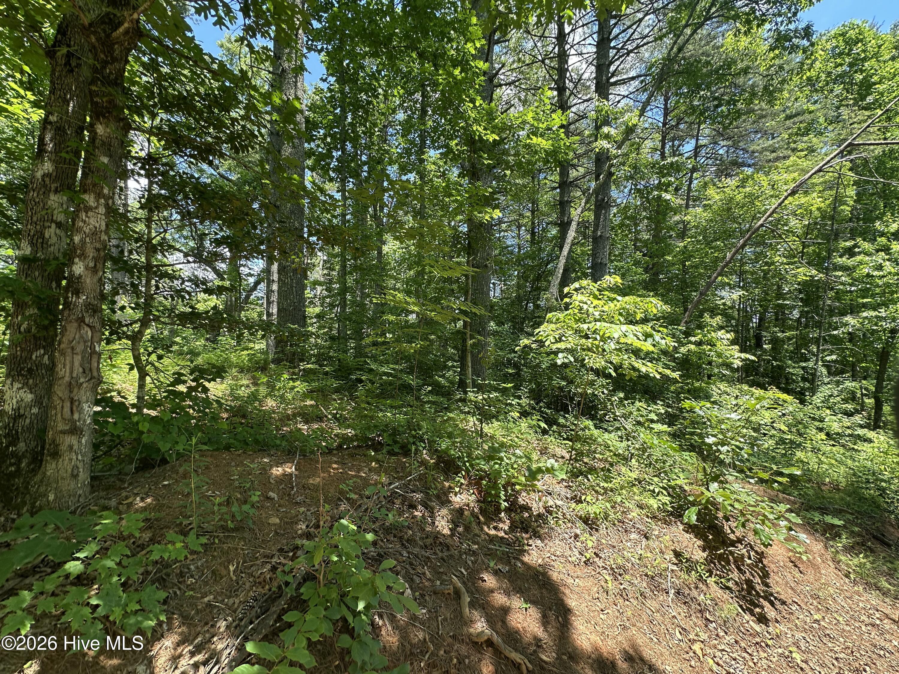 Exterior photo of Lt 41 & 42 Smokey Hollow Drive, Murphy, NC 28906. MLS: 100581602