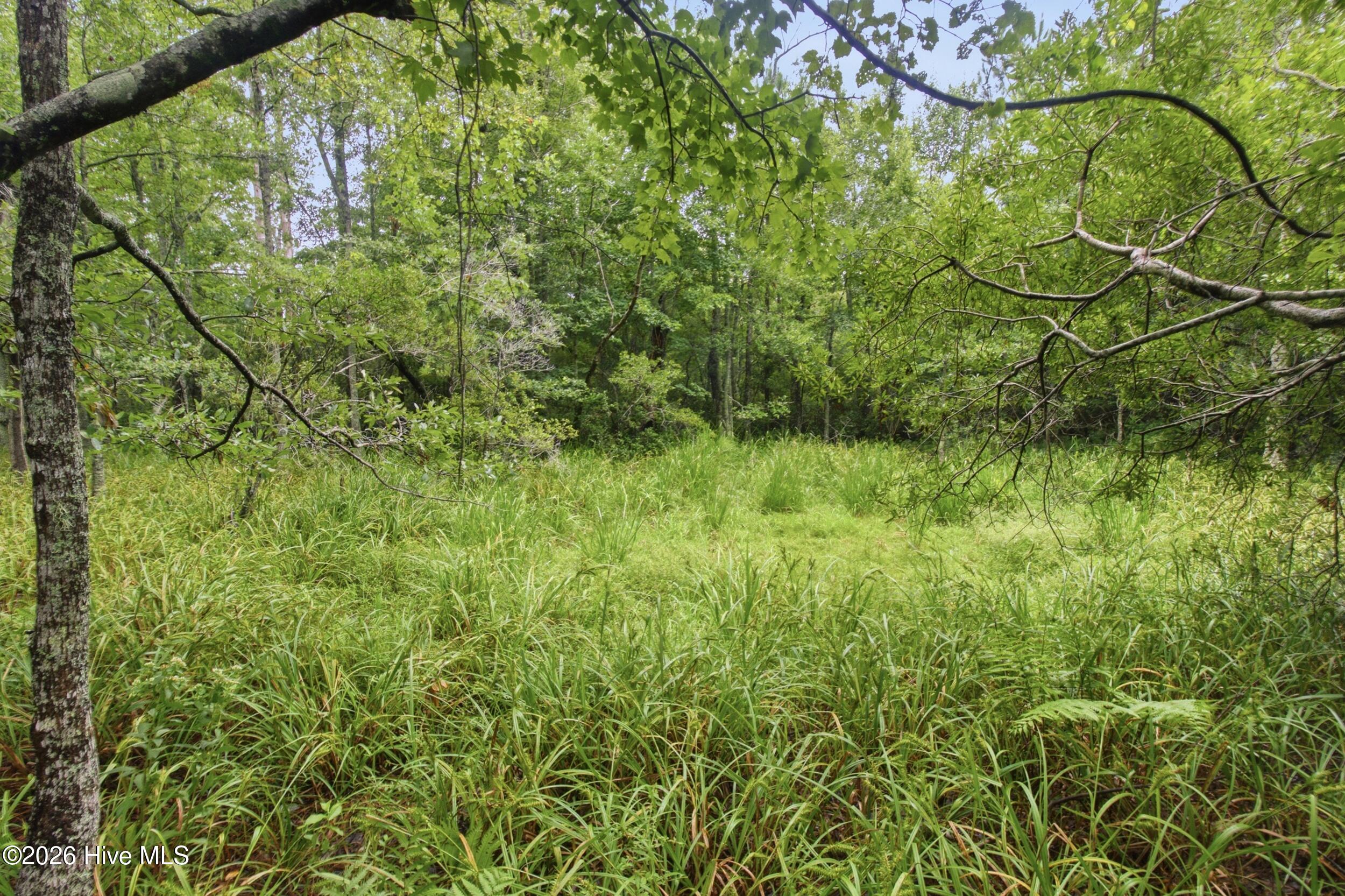 305 Tropical Trail,Beaufort