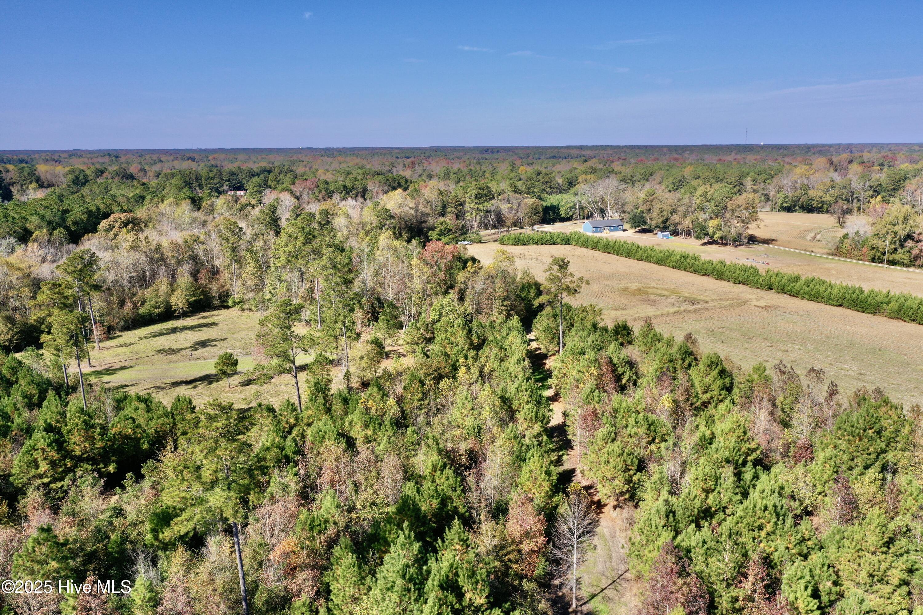 100541845 | Photo 21