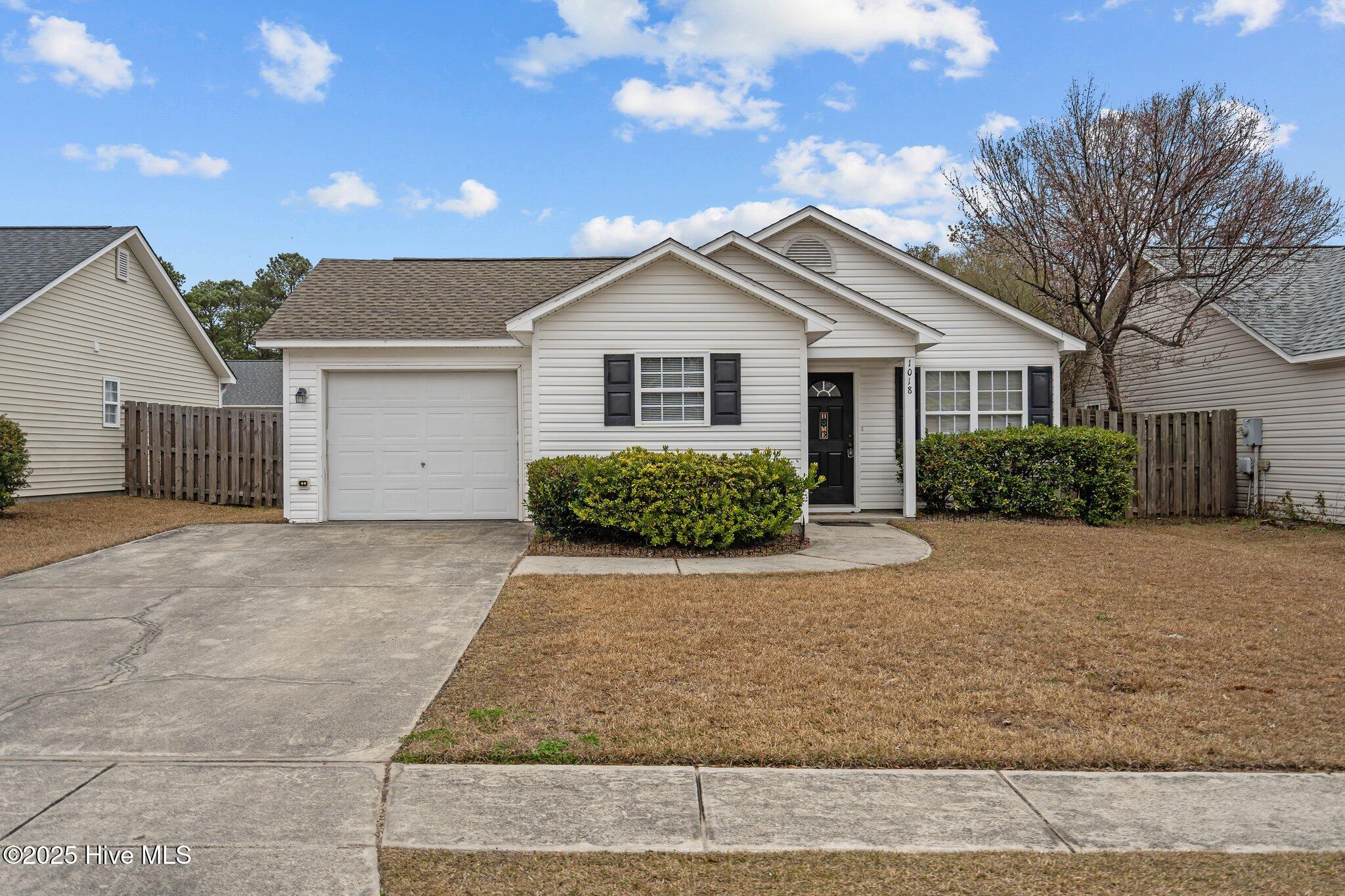 100533443 | Photo 44