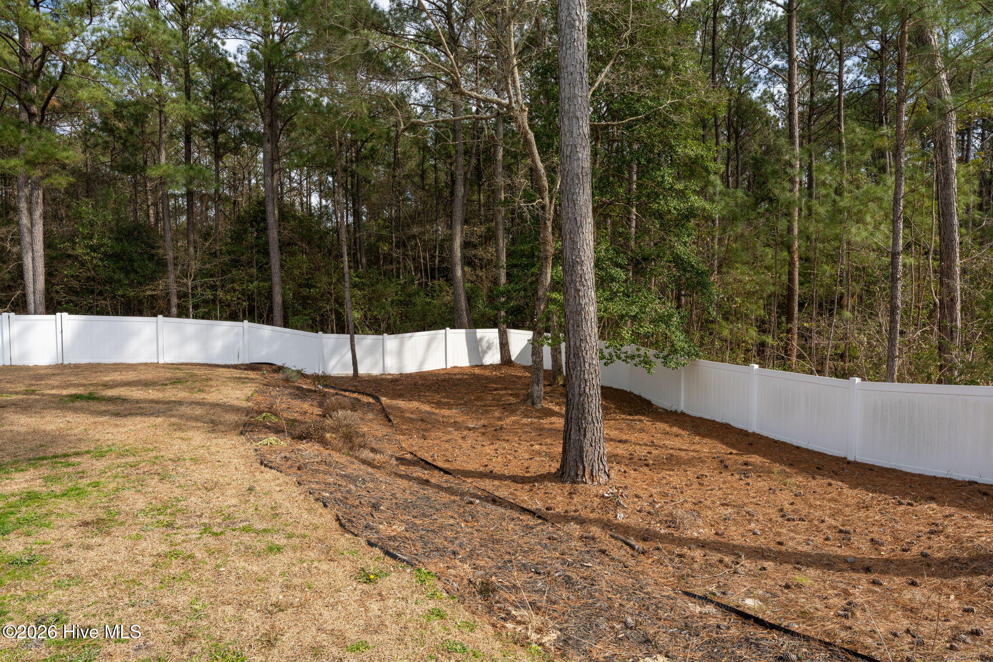 100555152 | Photo 49