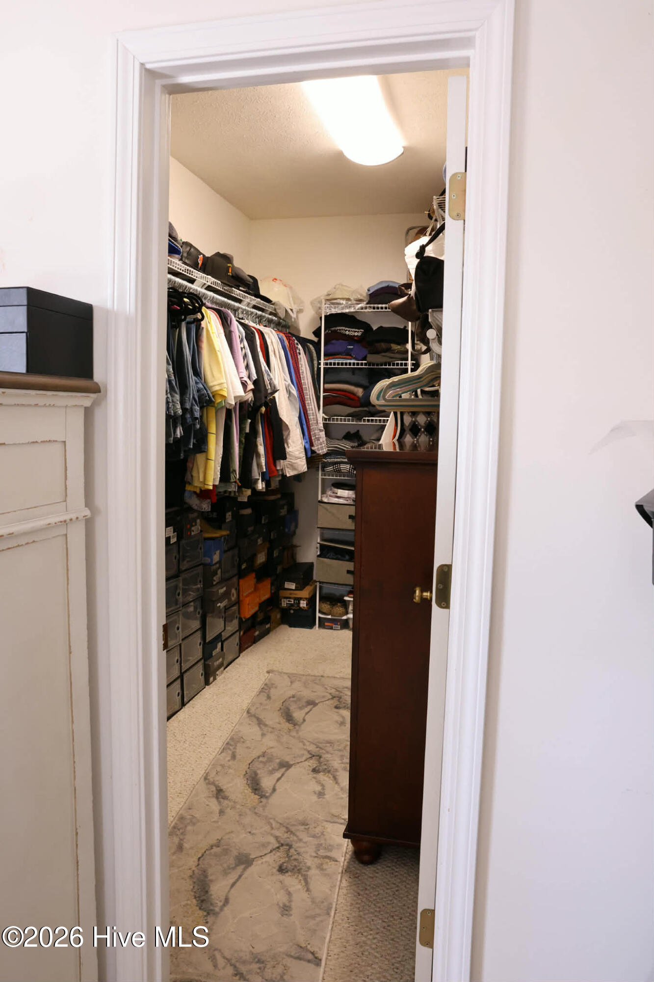 100548456 | Photo 35