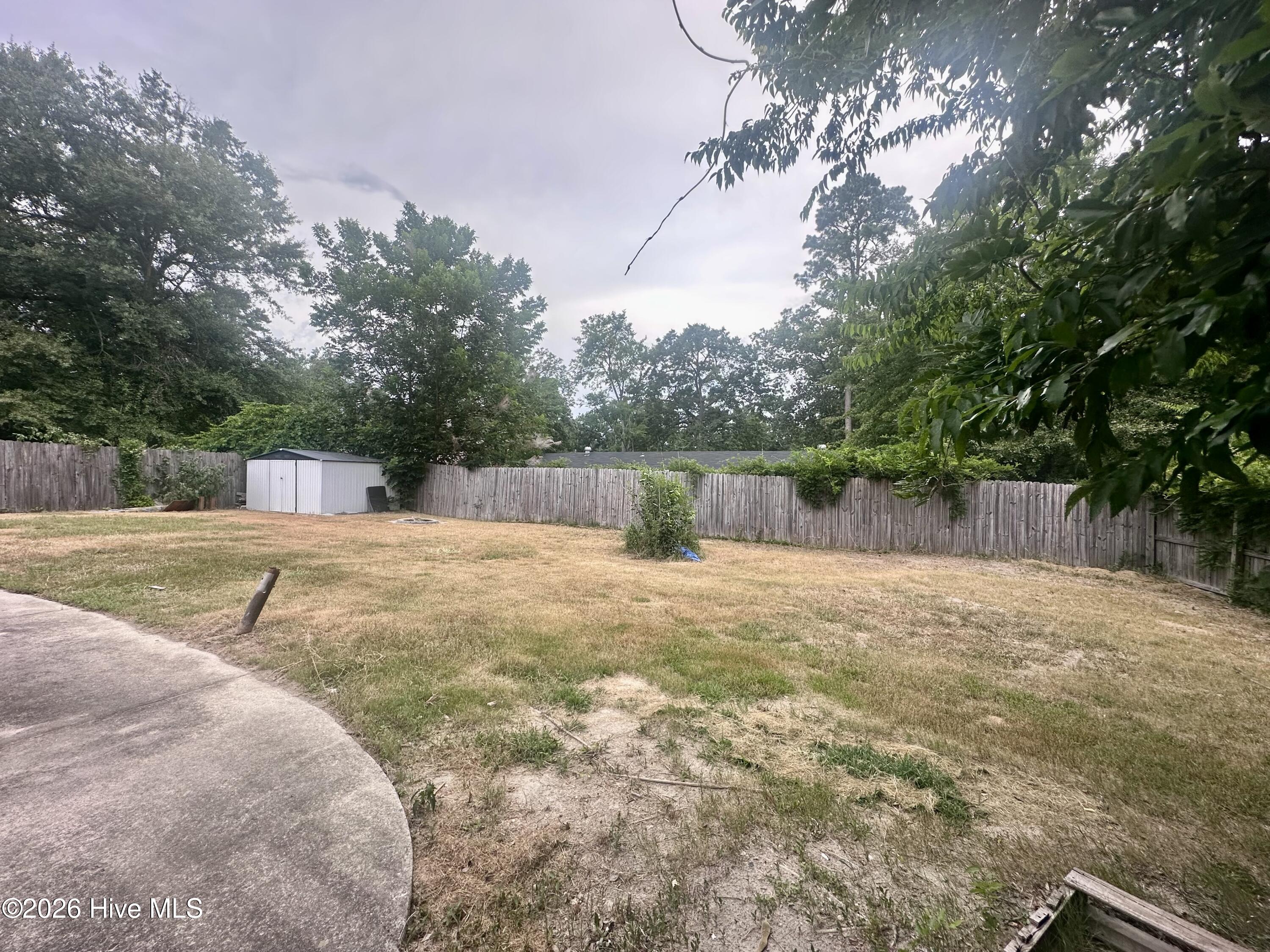 Back Yard