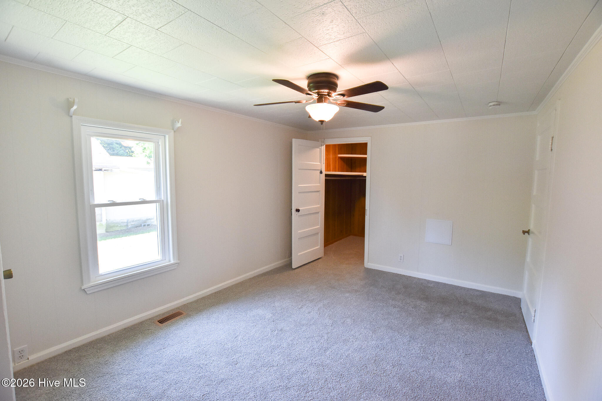 100568599 | Photo 11