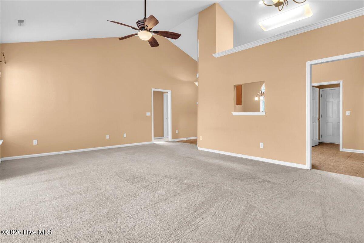 100555948 | Photo 15