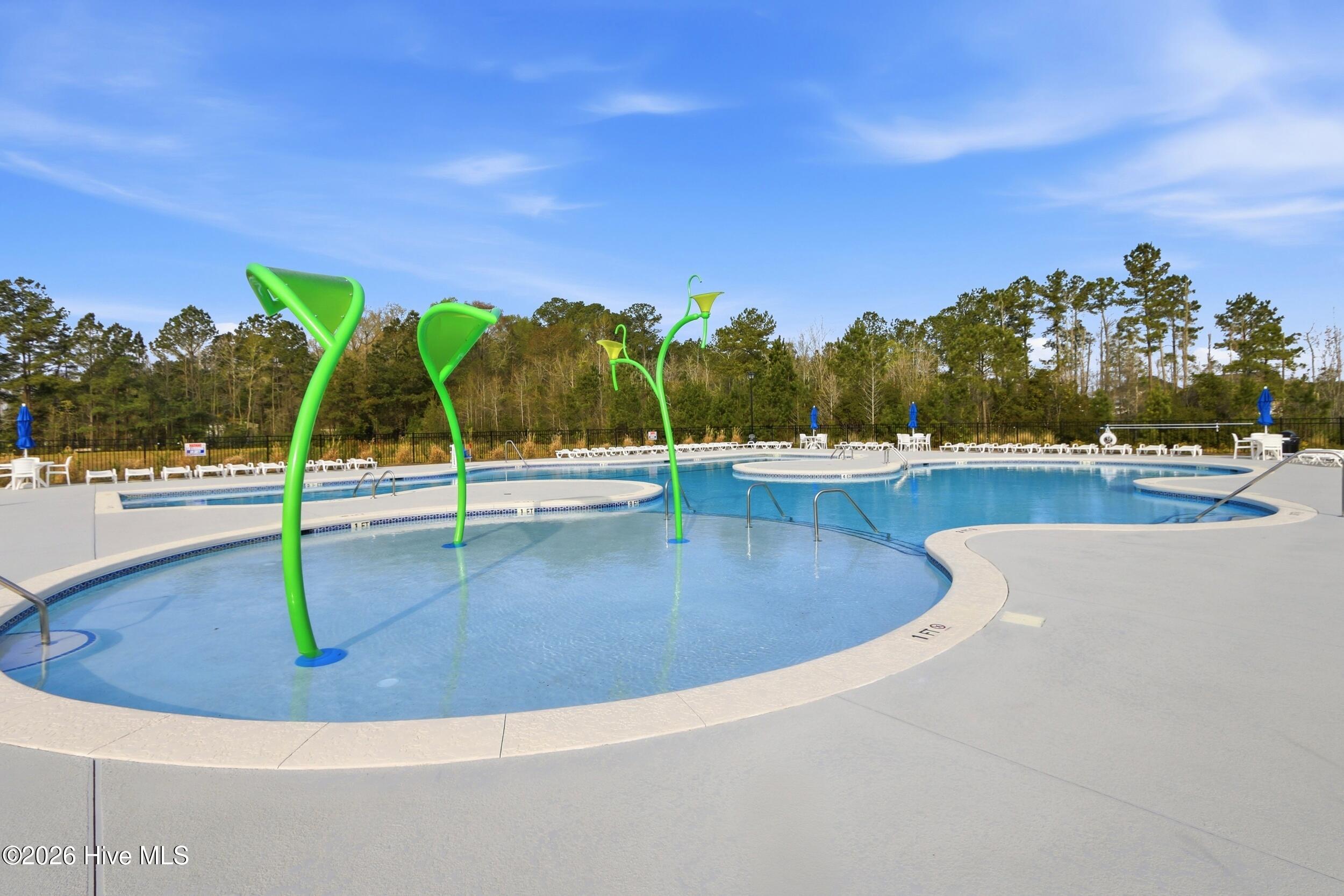 100562306 | Photo 49