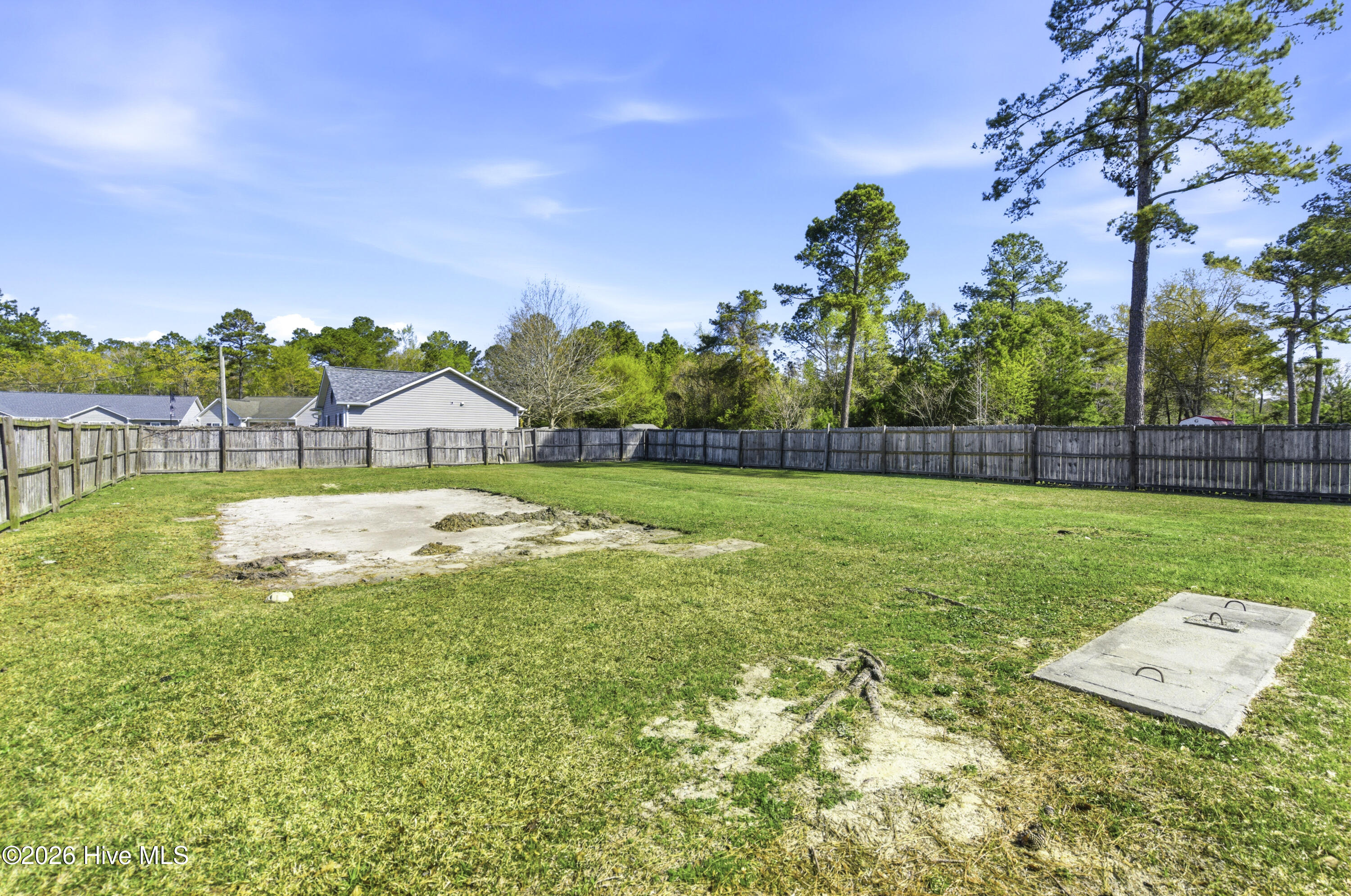 100564497 | Photo 31