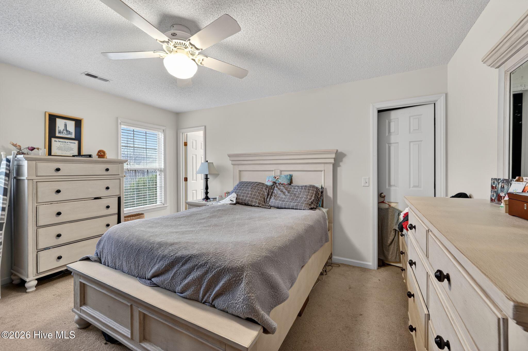 100558774 | Photo 11