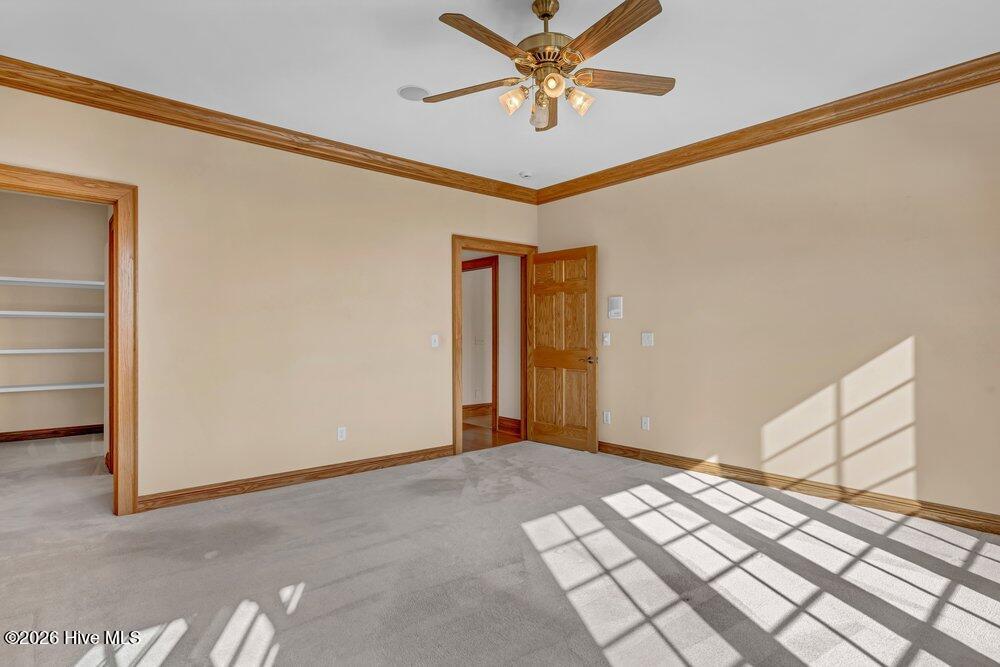 100558488 | Photo 24