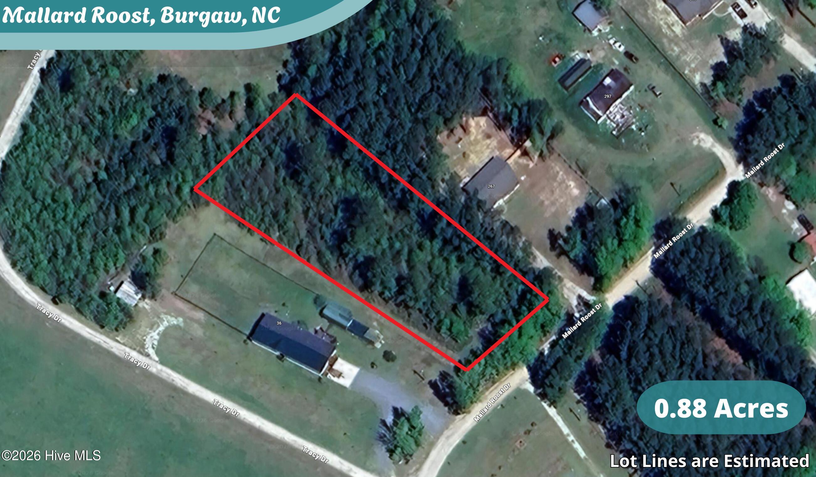 Homes for sale in Burgaw, NC | Lot 20 Mallard Roost Dr, Burgaw, NC 28425 | MLS# 100556813