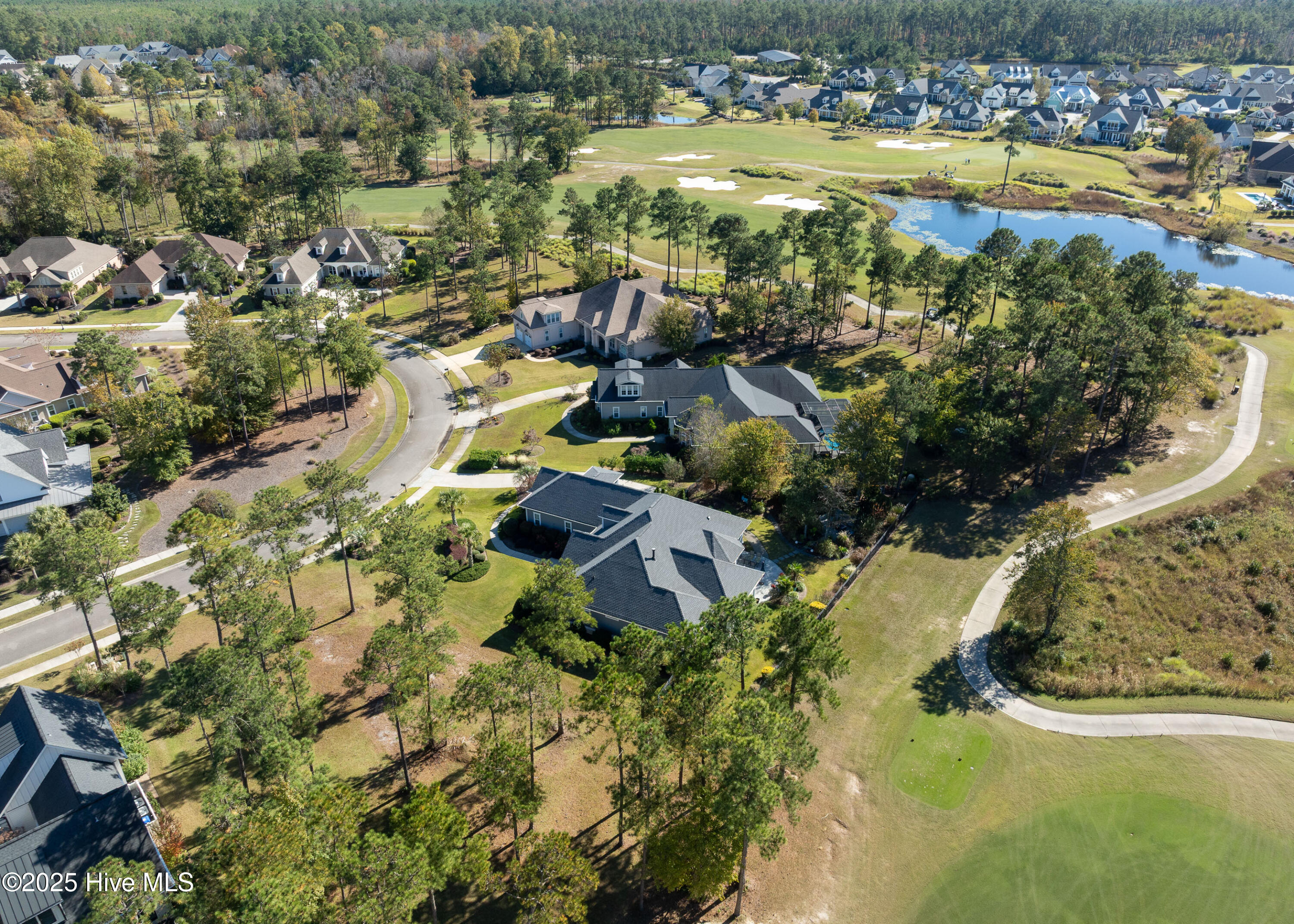 100539491 | Photo 25