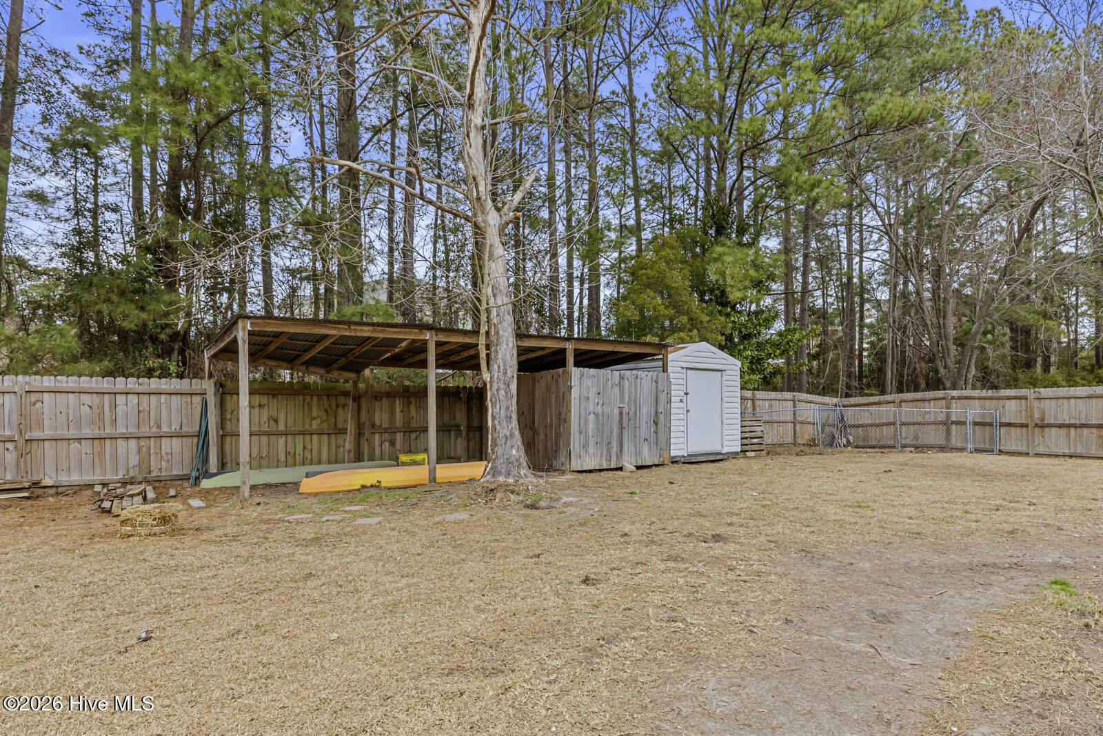 100555816 | Photo 24