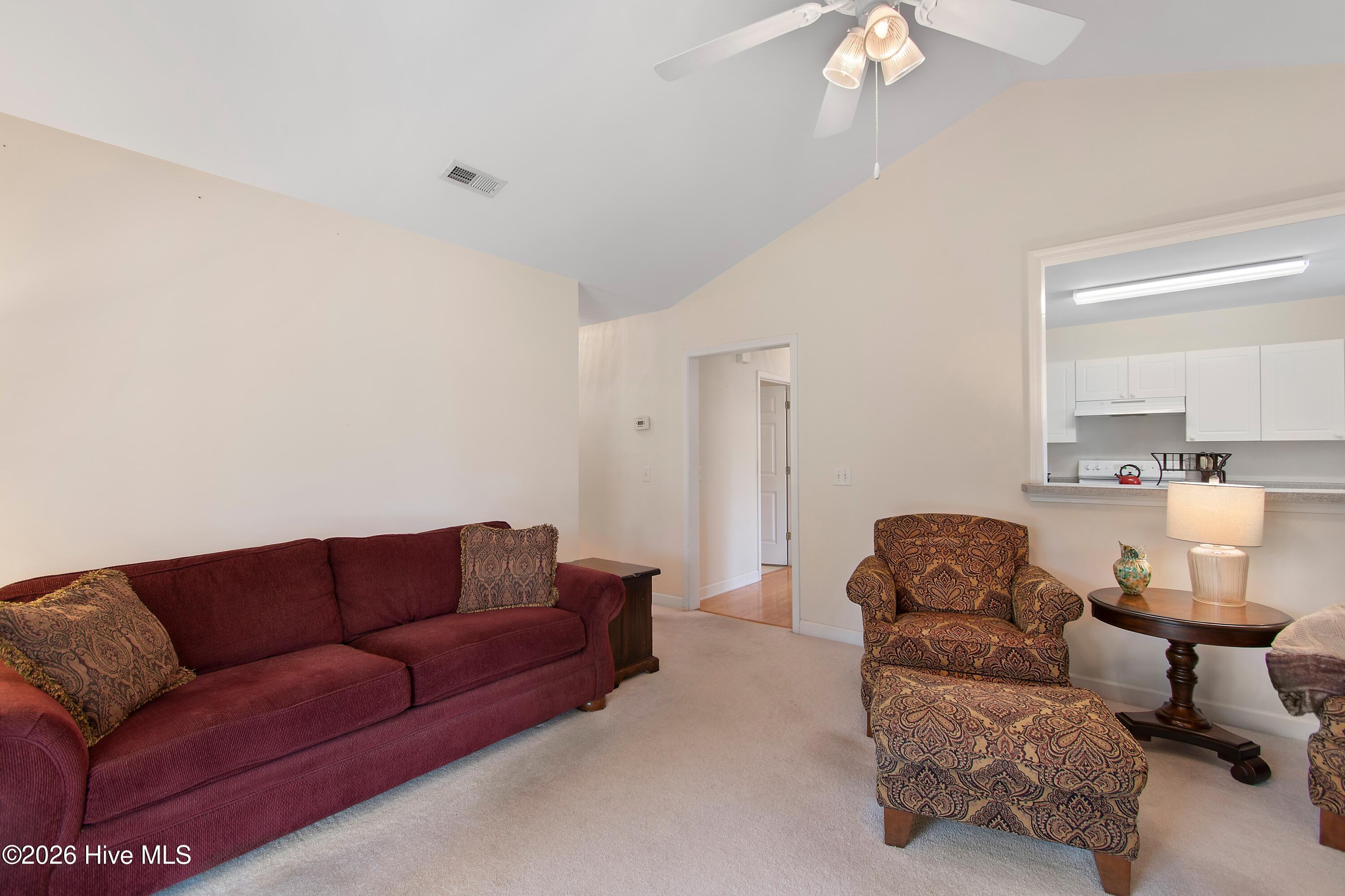 100558212 | Photo 19