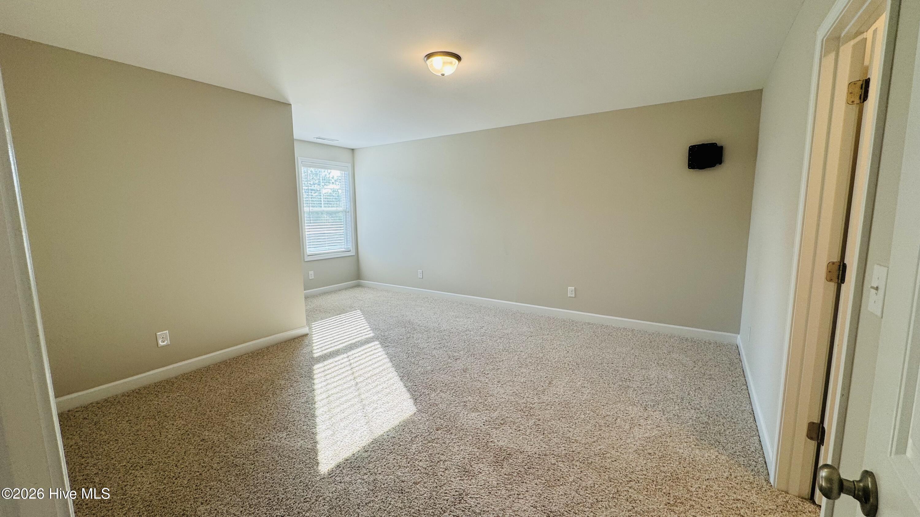 100562779 | Photo 29