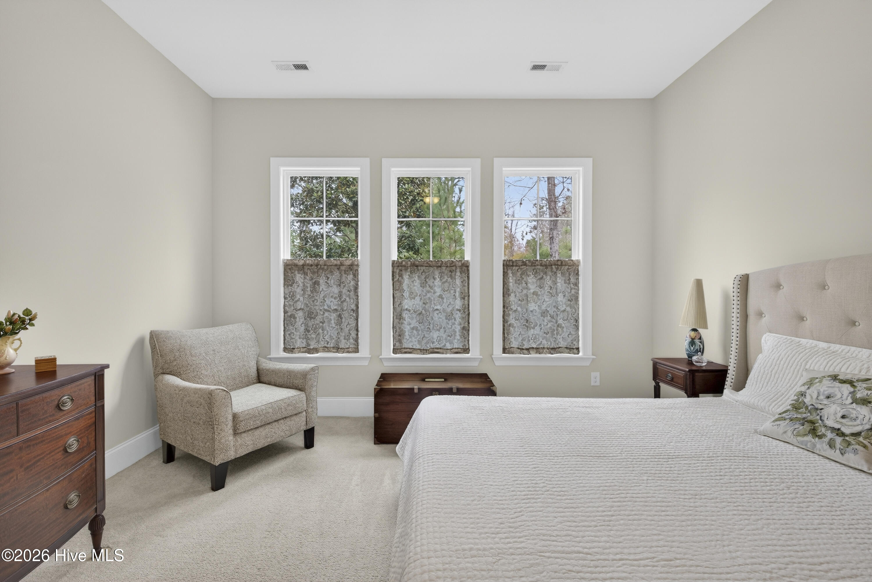 100558157 | Photo 23