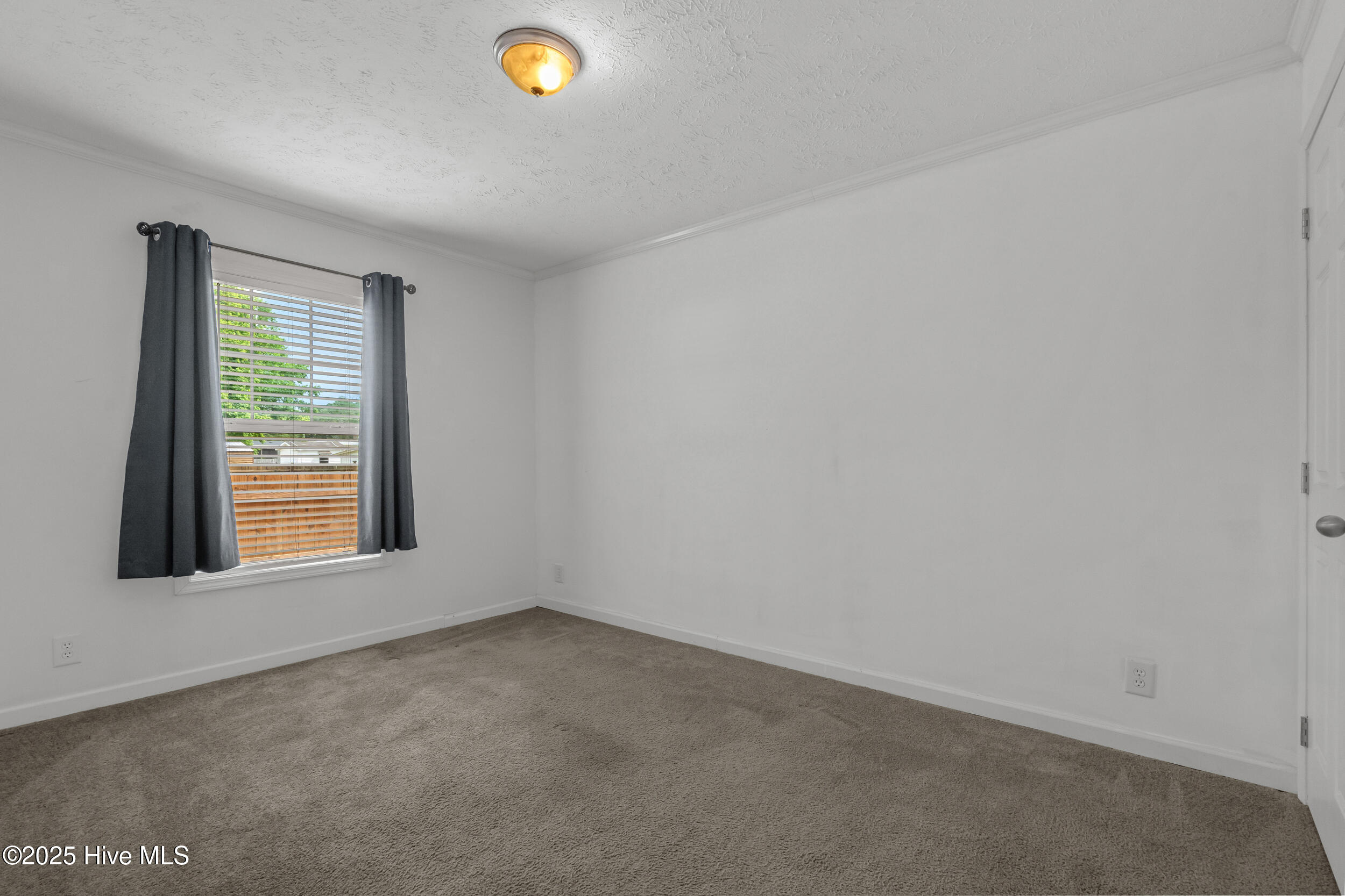 100510798 | Photo 24